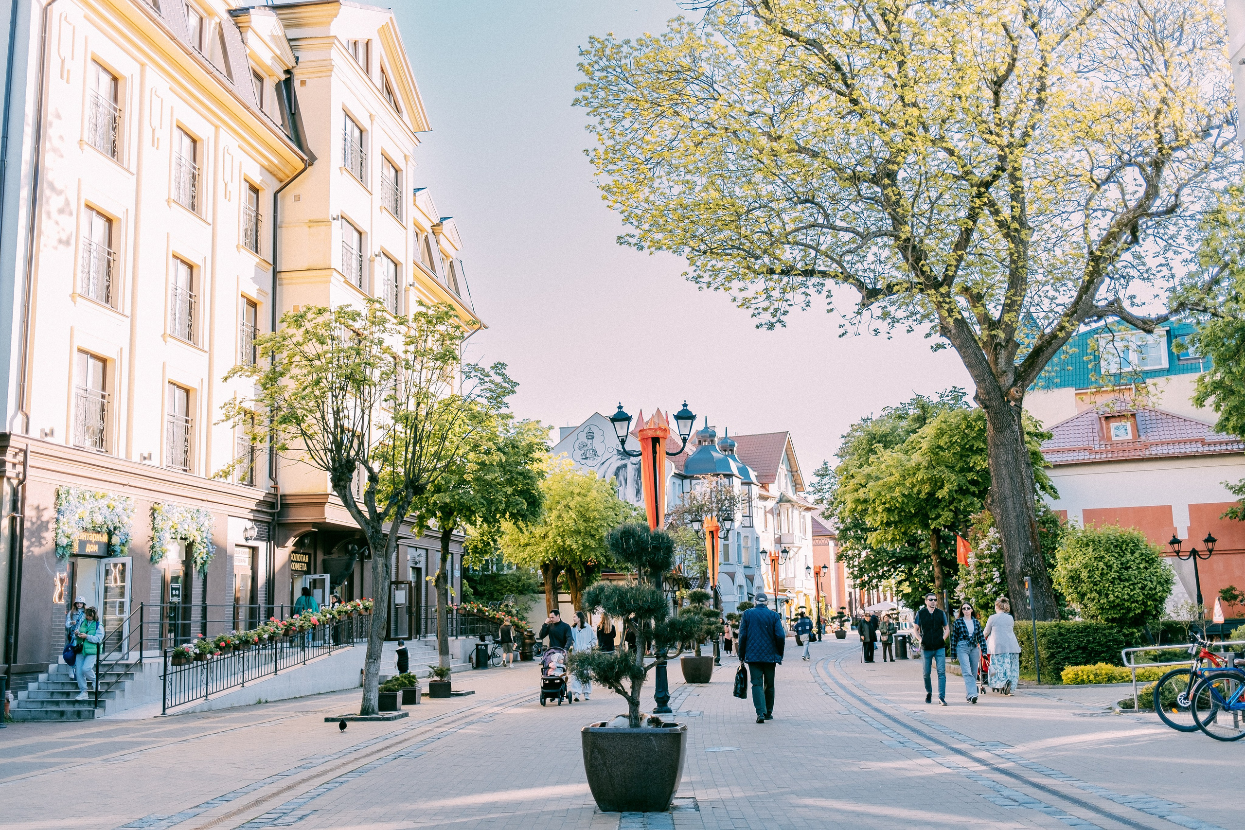 Зеленоградск. Аня Степанова