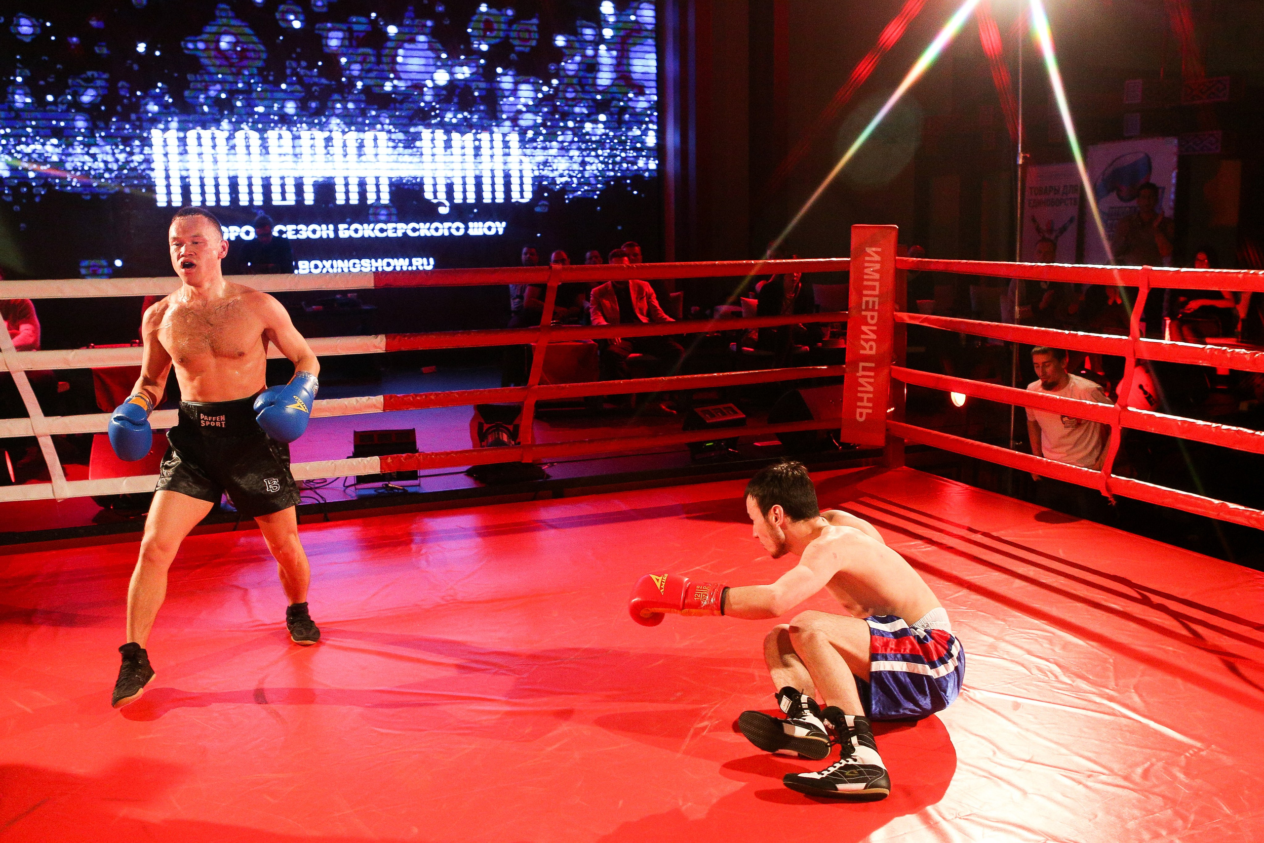 БОКС Империя Цынь, турнир первый. Фотограф Александр Заломаев