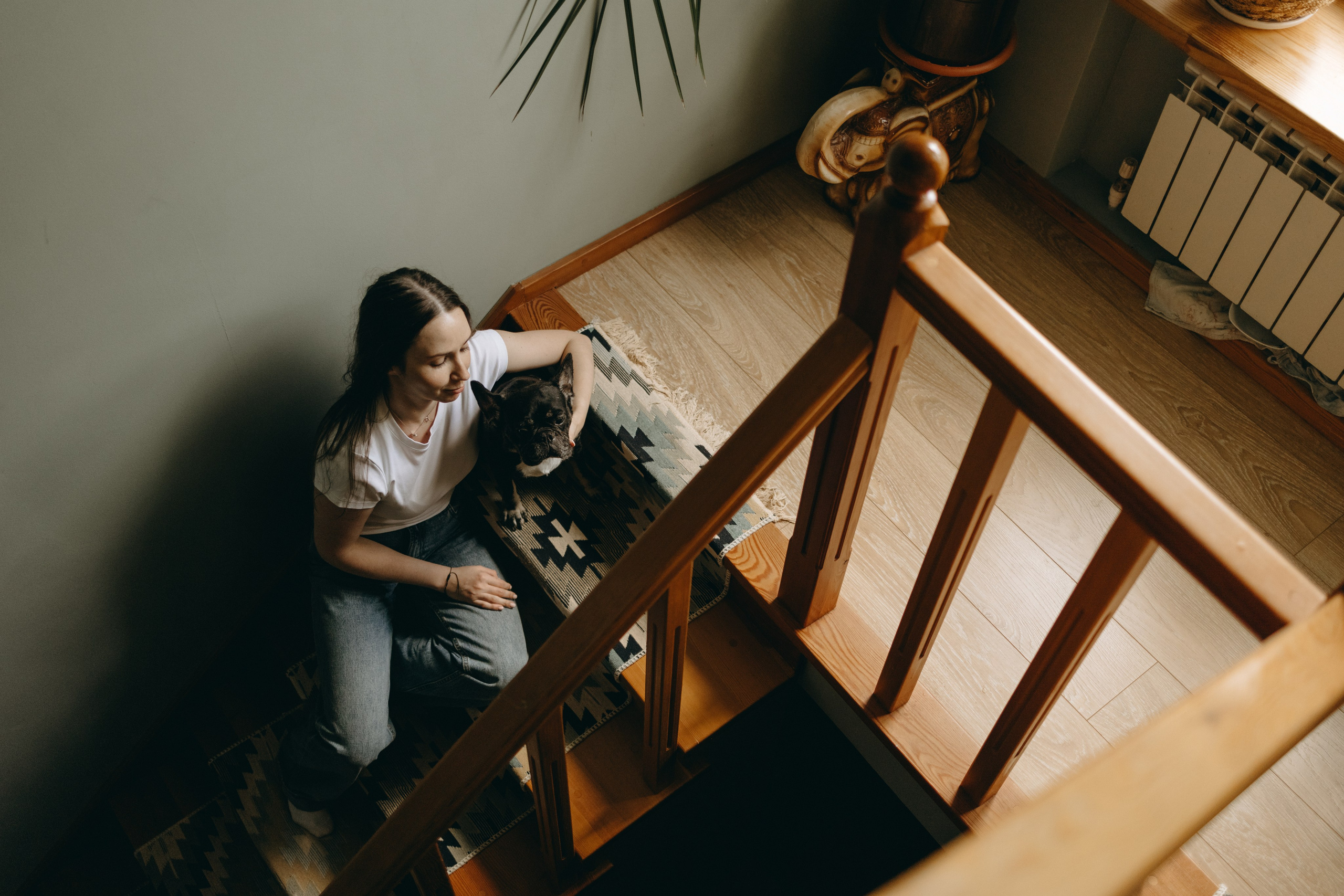 Софа и ее хвостики. Фотограф — Анималист | Санкт-Петербург