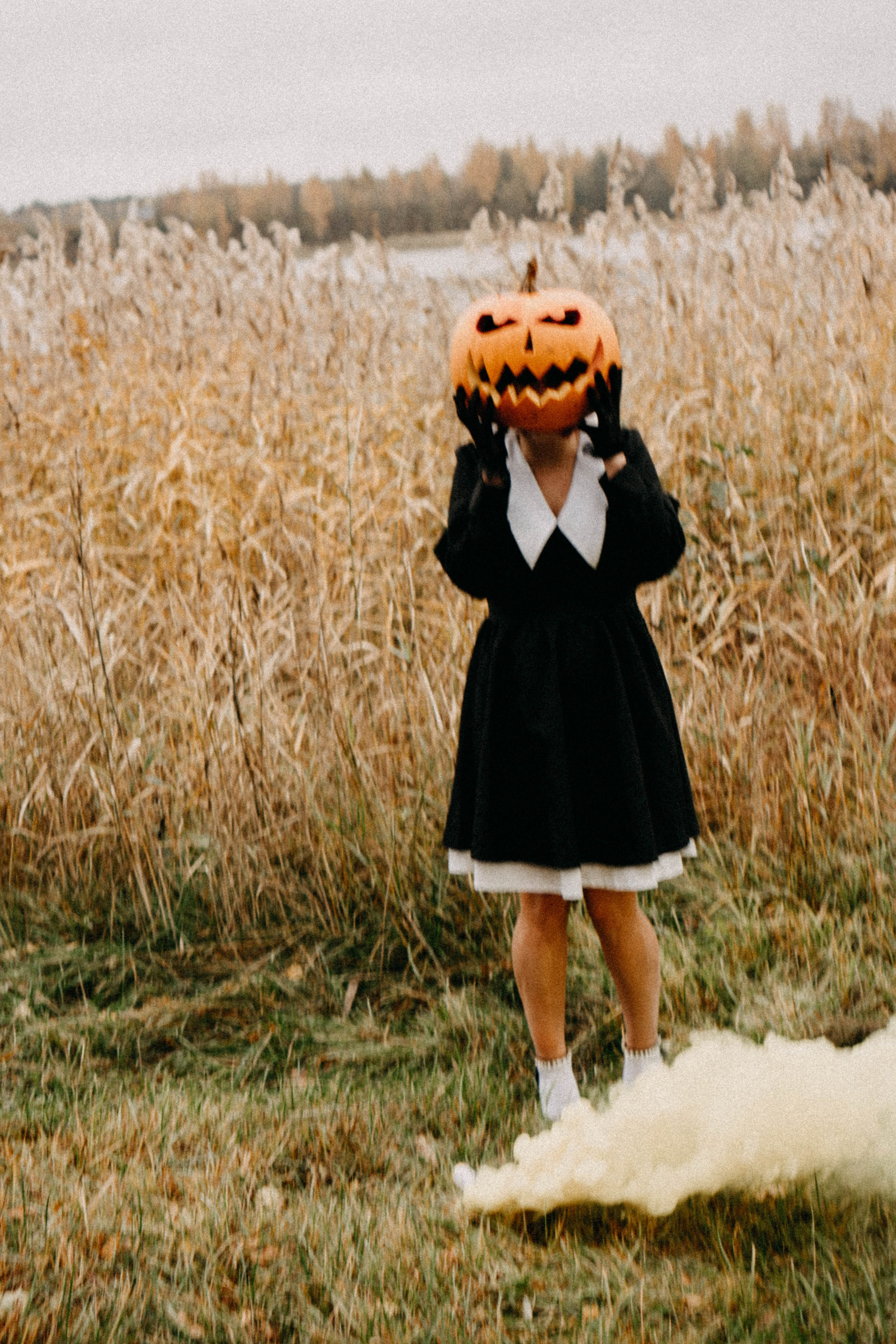 Осеняя. Профессиональный фотограф, Санкт-Петербург — Виктория Богомолова