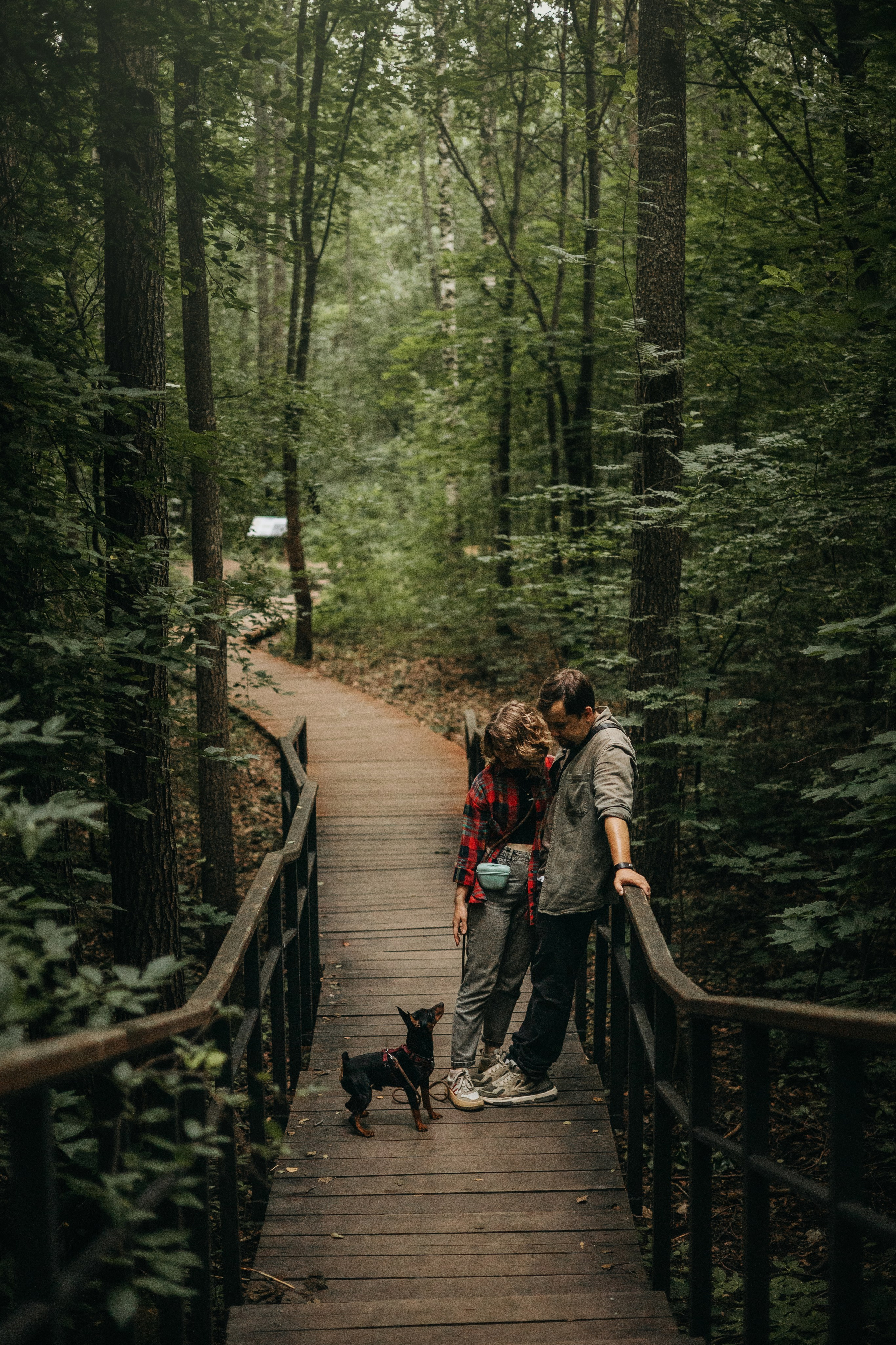 Сириус и его семья. Фотограф — Анималист | Санкт-Петербург