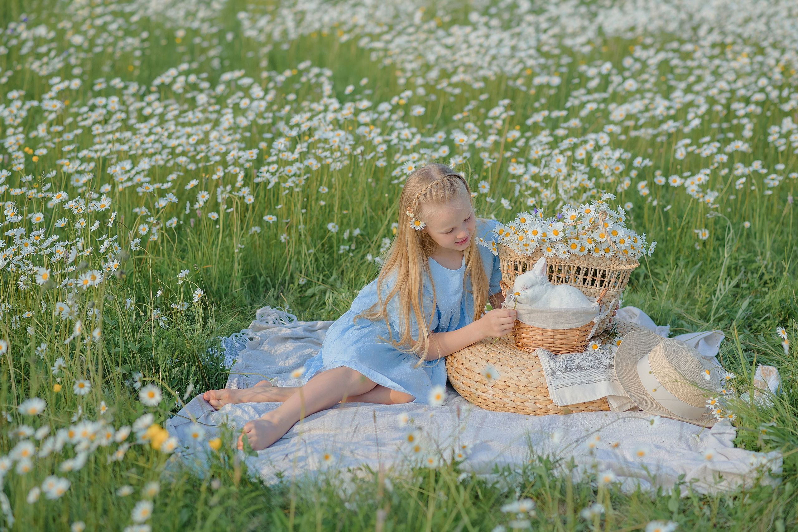 Ромашковое поле. Семейный фотограф в Рязани Мария Ермакова