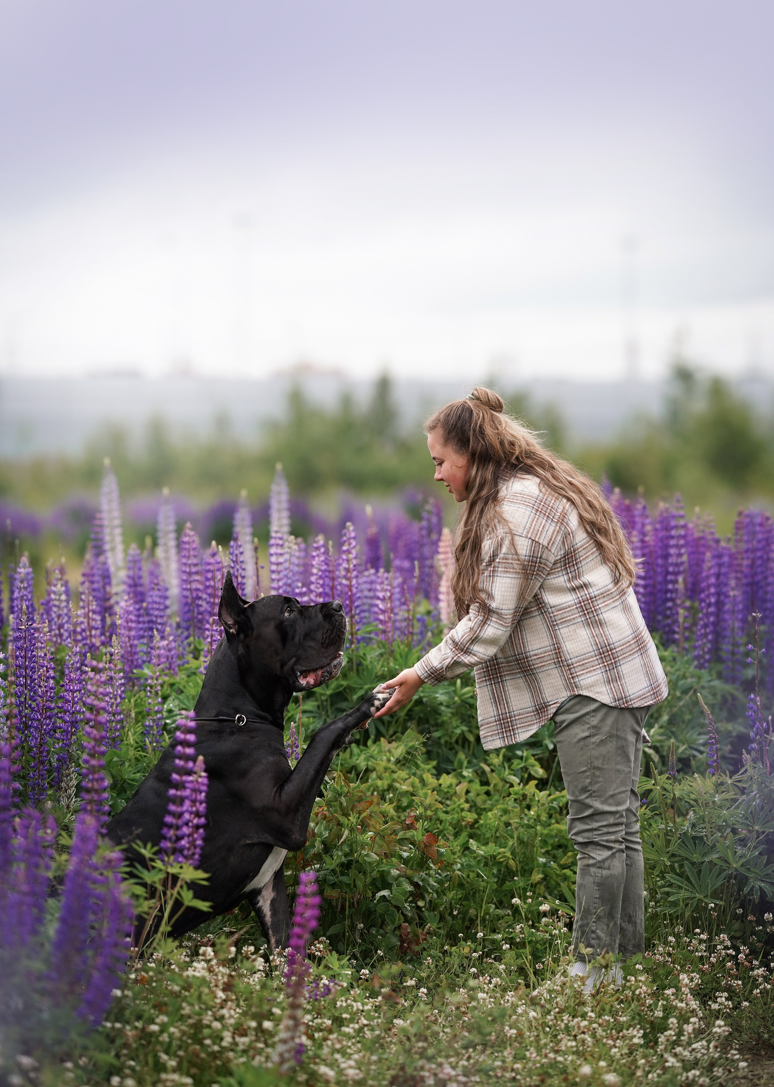 Вика и Трофей люпины. Фотограф-анималист в Санкт-Петербурге Яна Мартынова