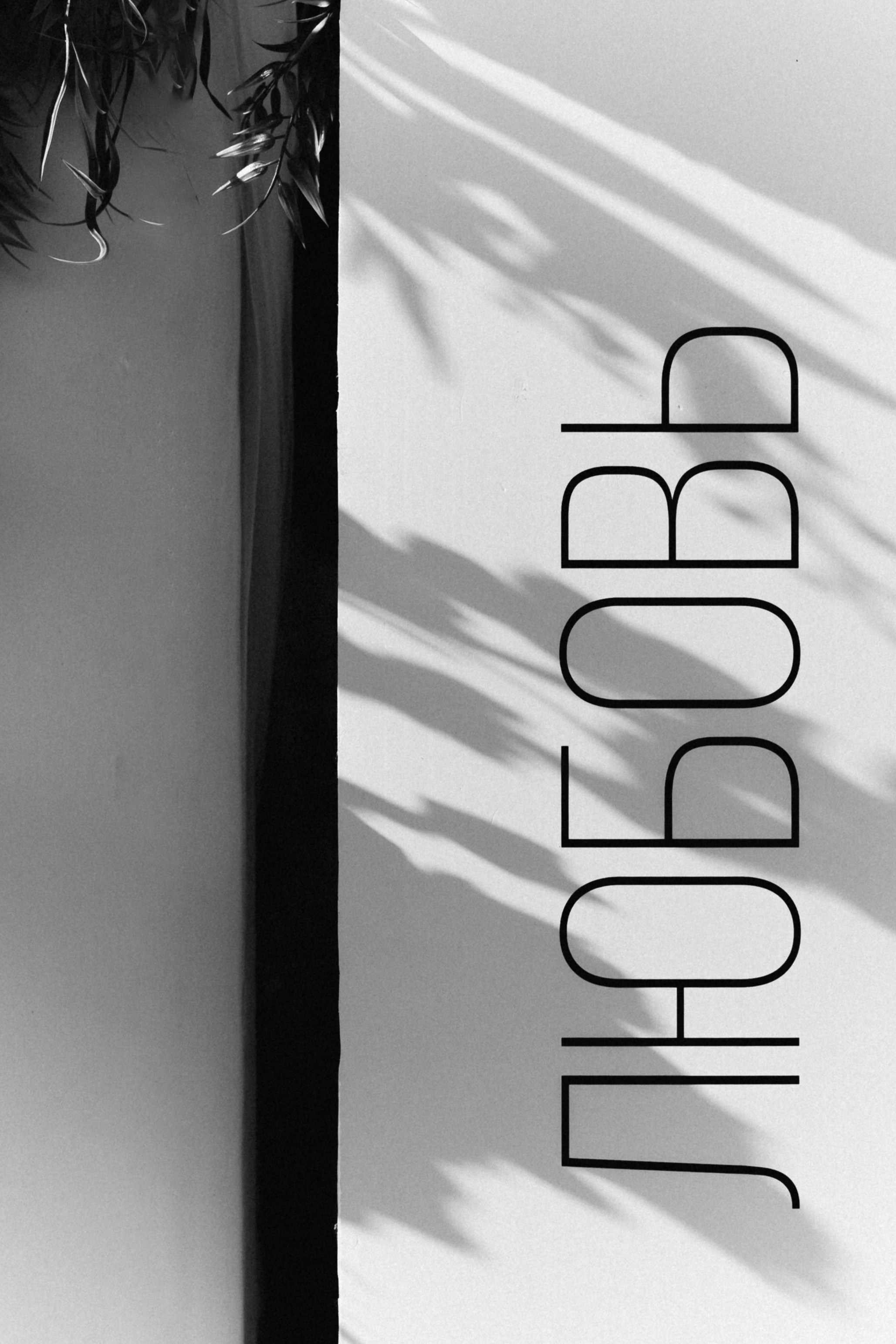 Кирилл и Анжелика. Фотограф Москва, Санкт-Петербург, Абакан