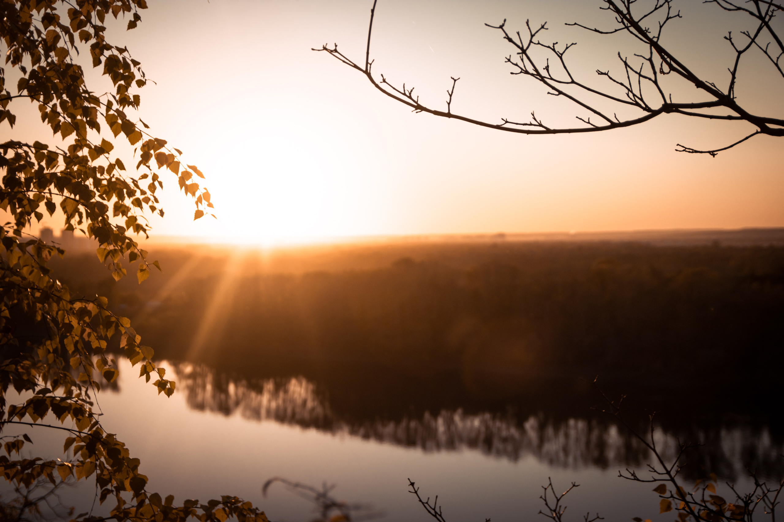 Единение с осенью. Маслухин Дмитрий — Ваш Фотограф