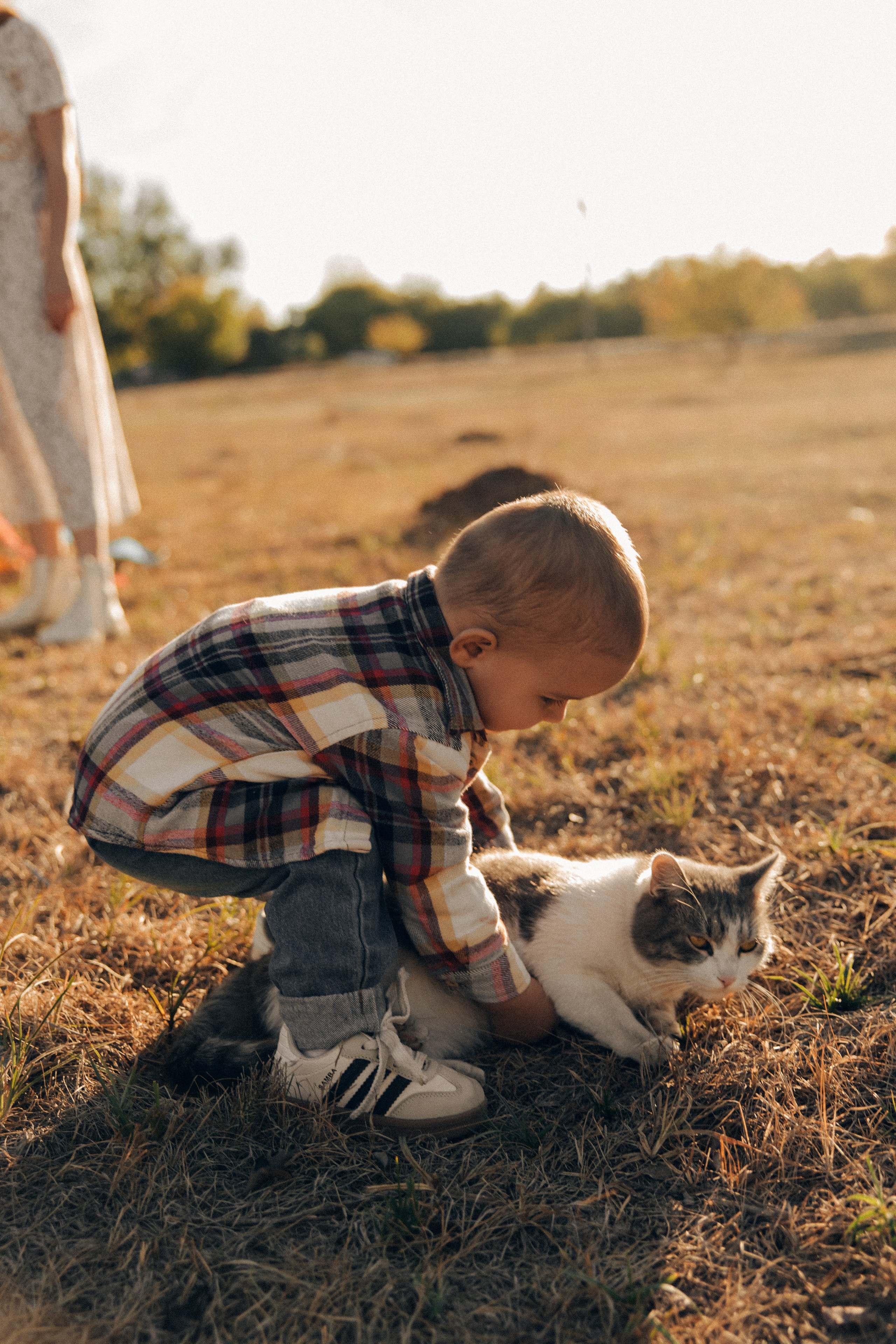 Семейная история