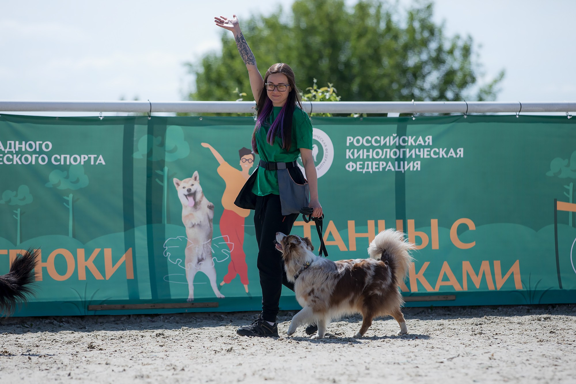 Показательные выступления по NoseWork на выставке «Россия». Фотограф-анималист Mary Mart — Москва, Питер