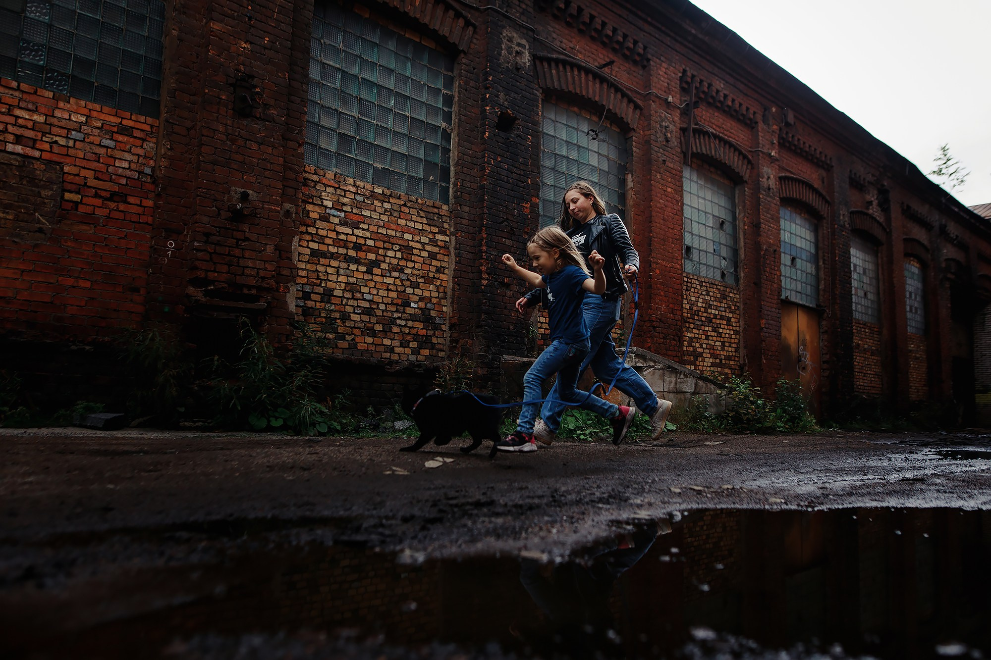 Саша, Маша и шипперке Йети. Фотограф-анималист Mary Mart — Москва, Питер