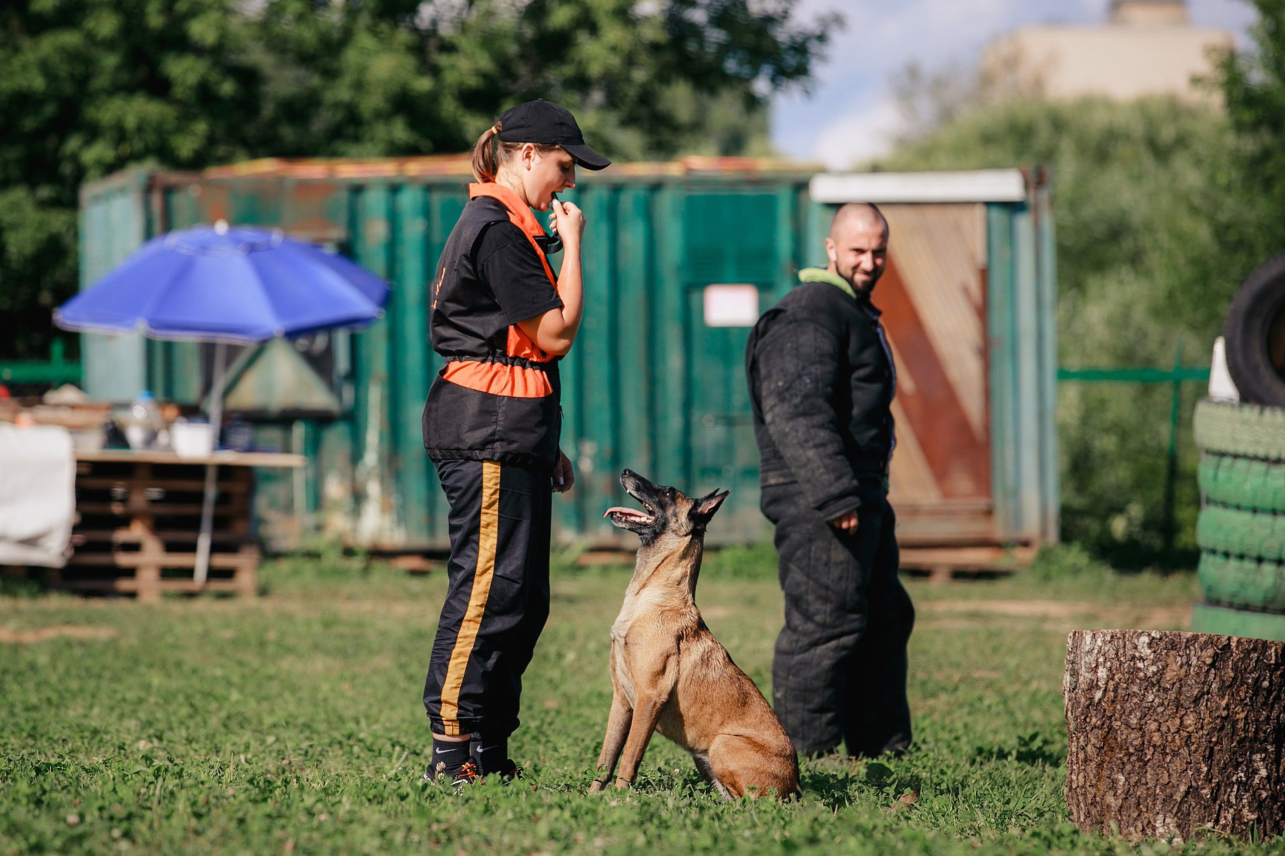 Мондьоринг М1, М2, М3, Вологда. Фотограф-анималист Mary Mart — Москва, Питер