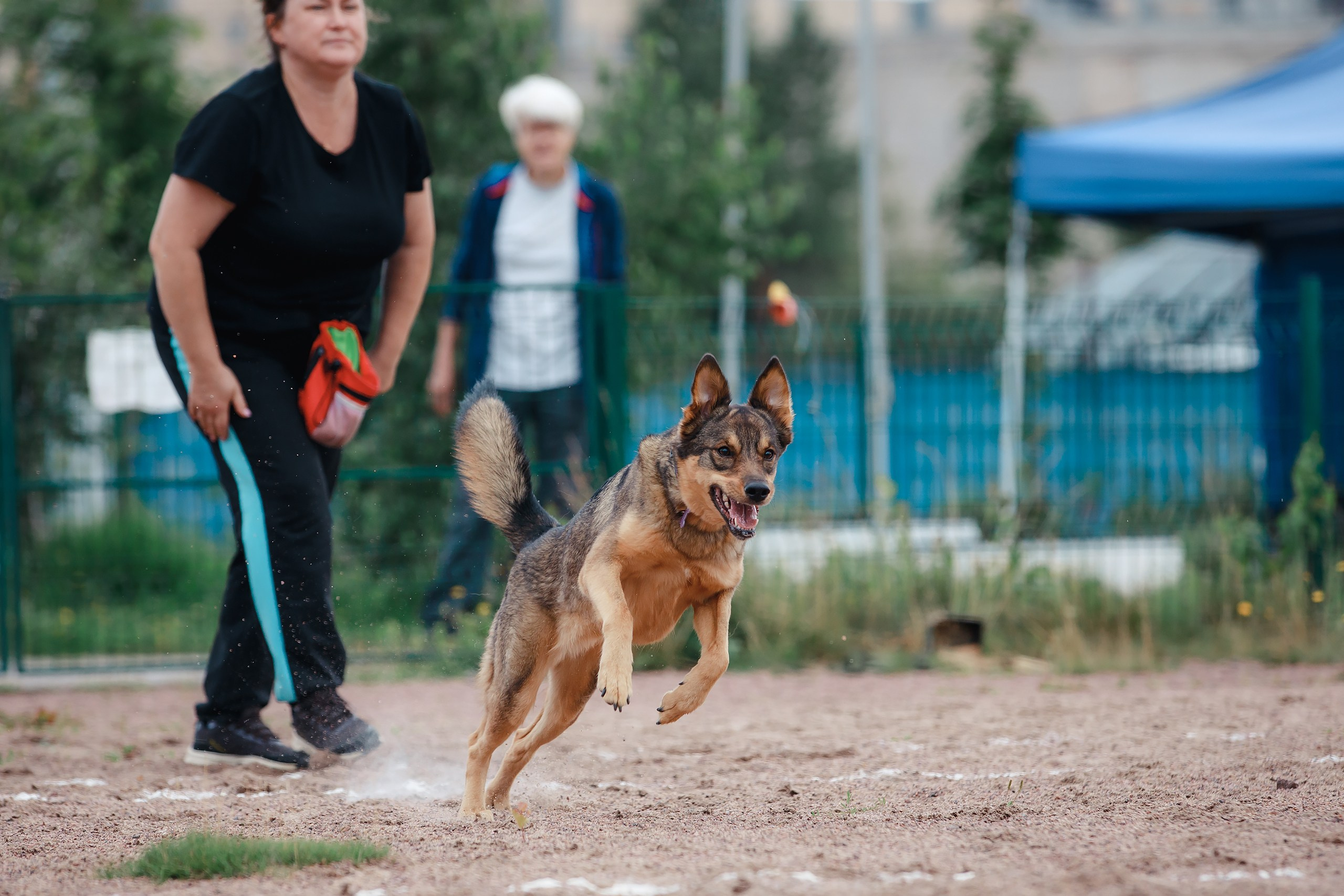 Питч&Гоу + веселые старты. Фотограф-анималист Mary Mart — Москва, Питер
