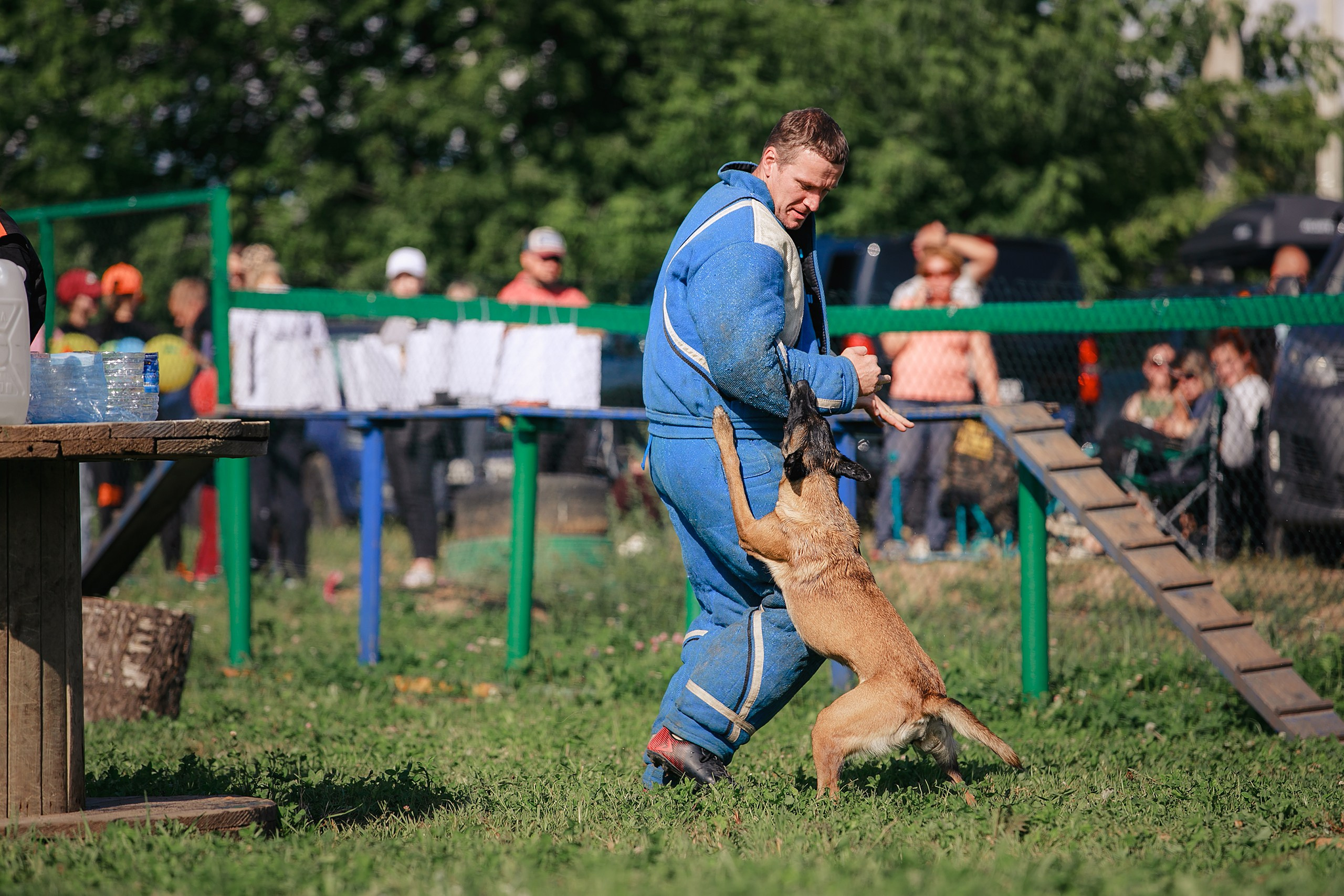 Мондьоринг М1, М2, М3, Вологда. Фотограф-анималист Mary Mart — Москва, Питер