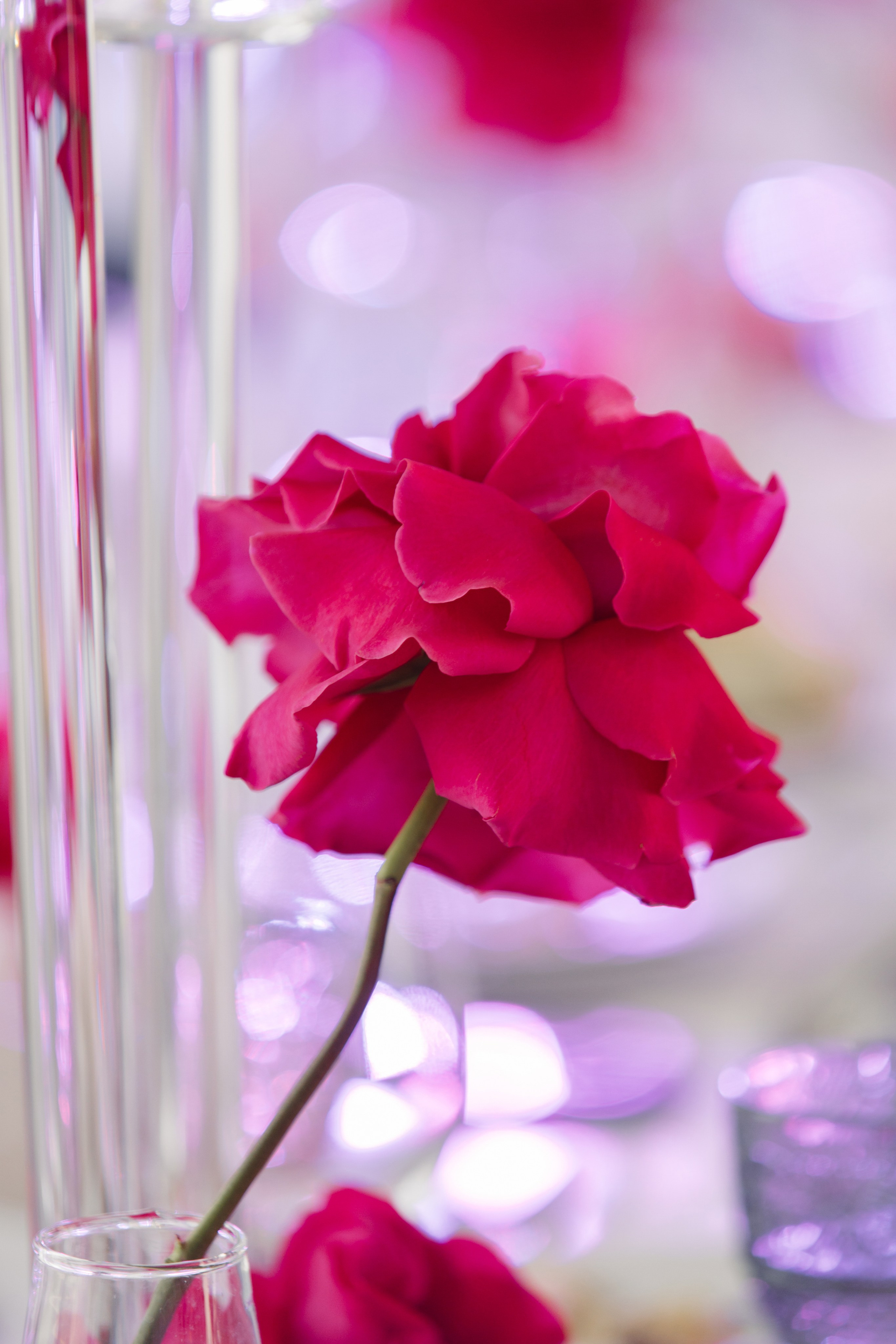 Александр и Мишель