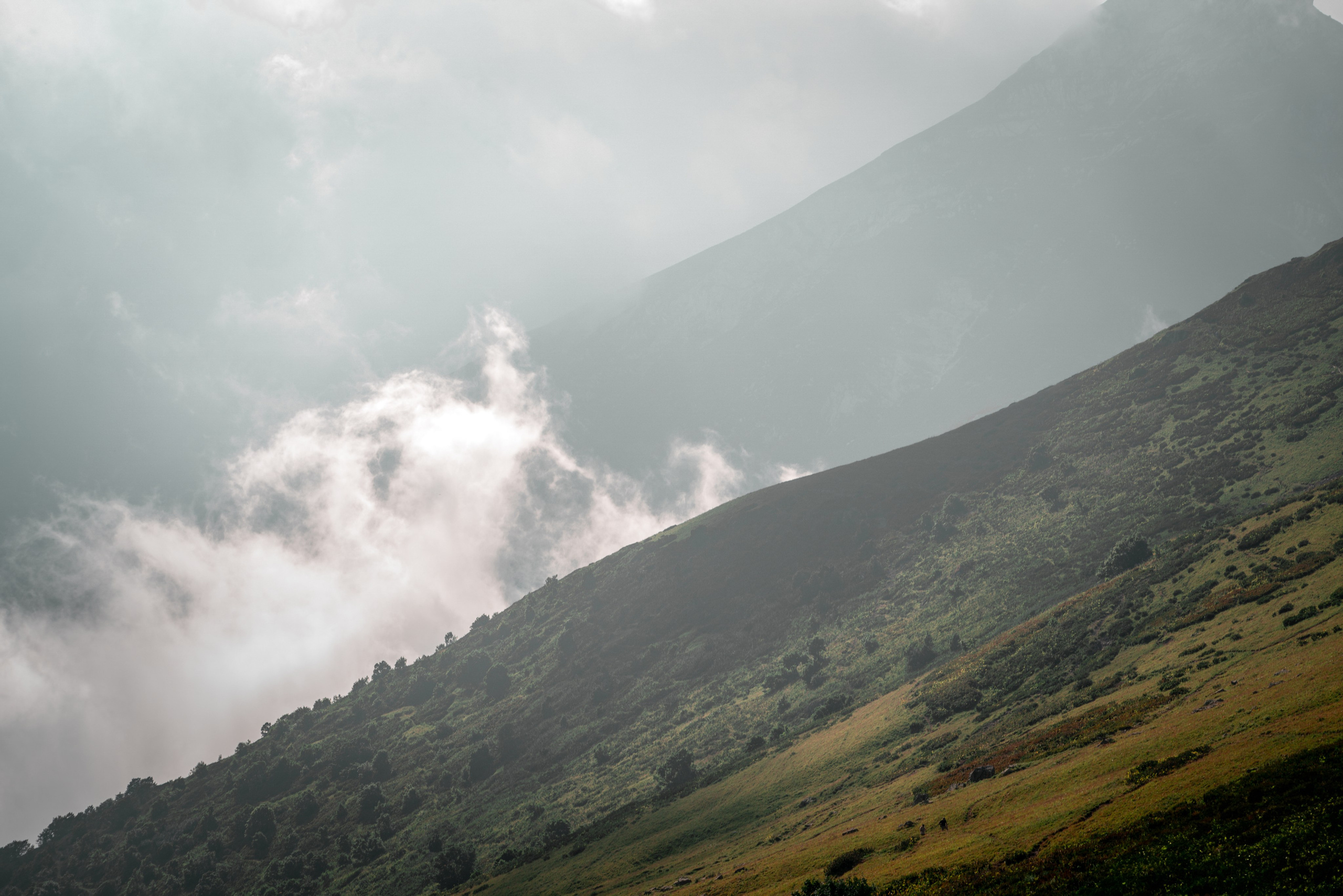 Сочи. Фотограф Александра Волкова | Волгоград