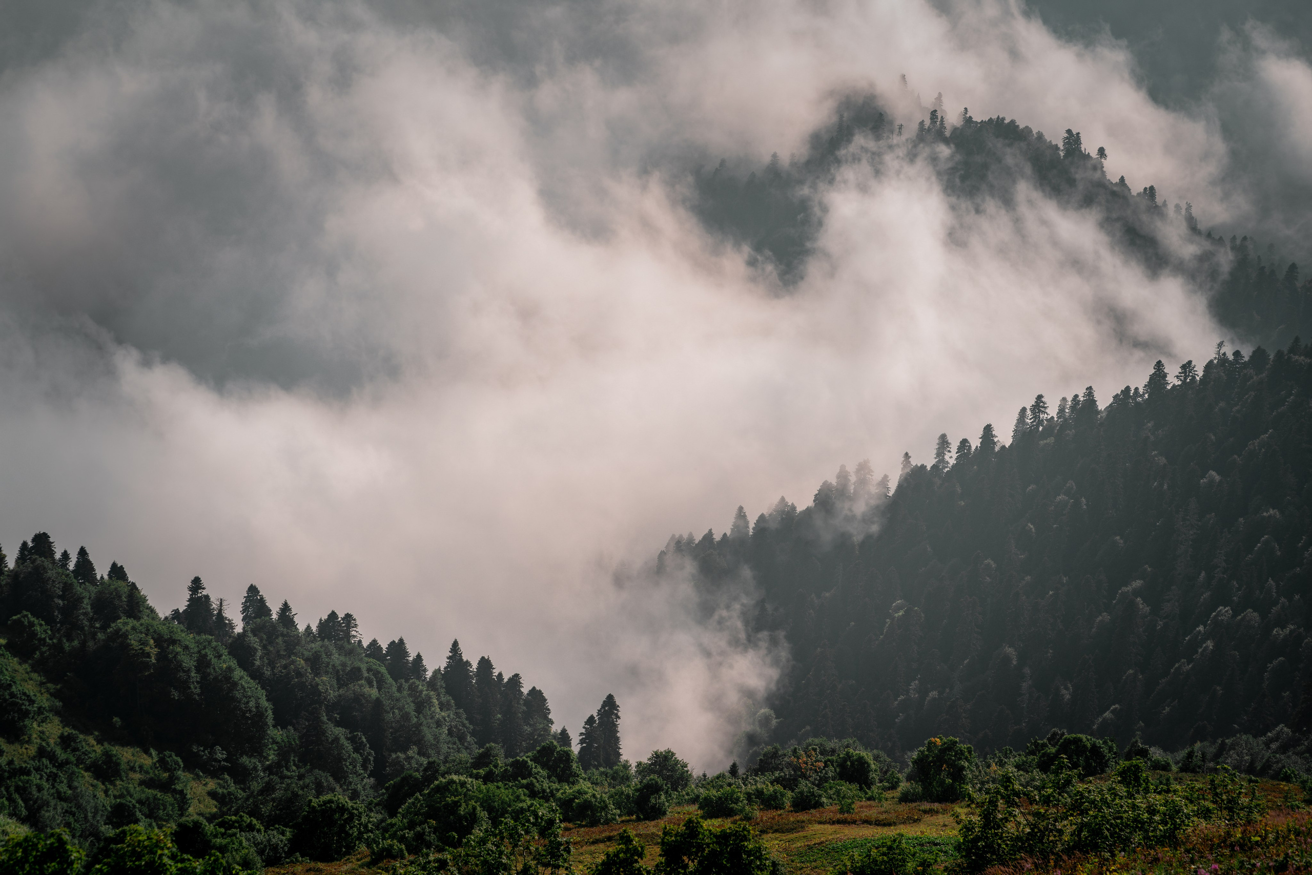 Сочи. Фотограф Александра Волкова | Волгоград