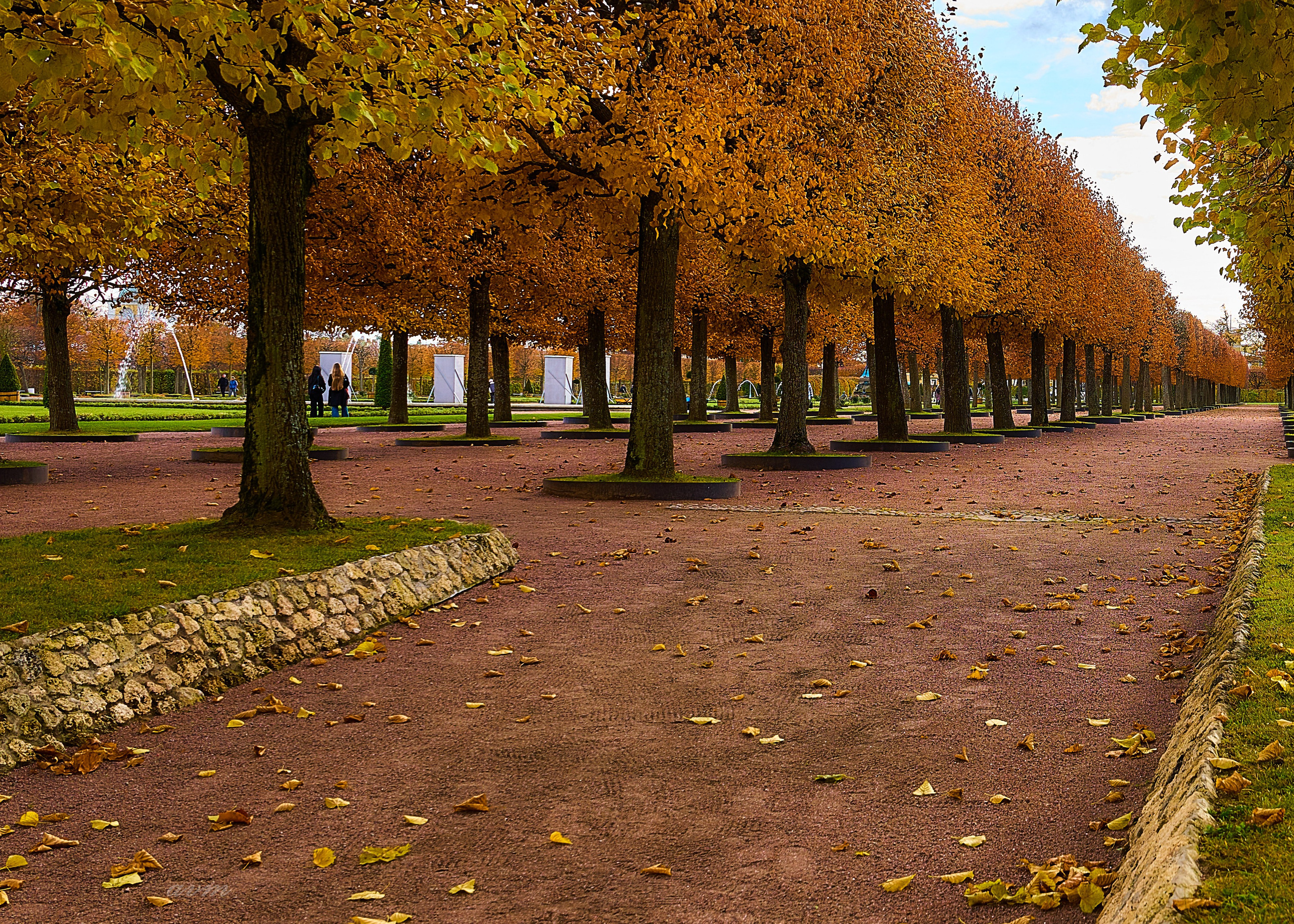 Петергоф. Фотограф Михеев Андрей