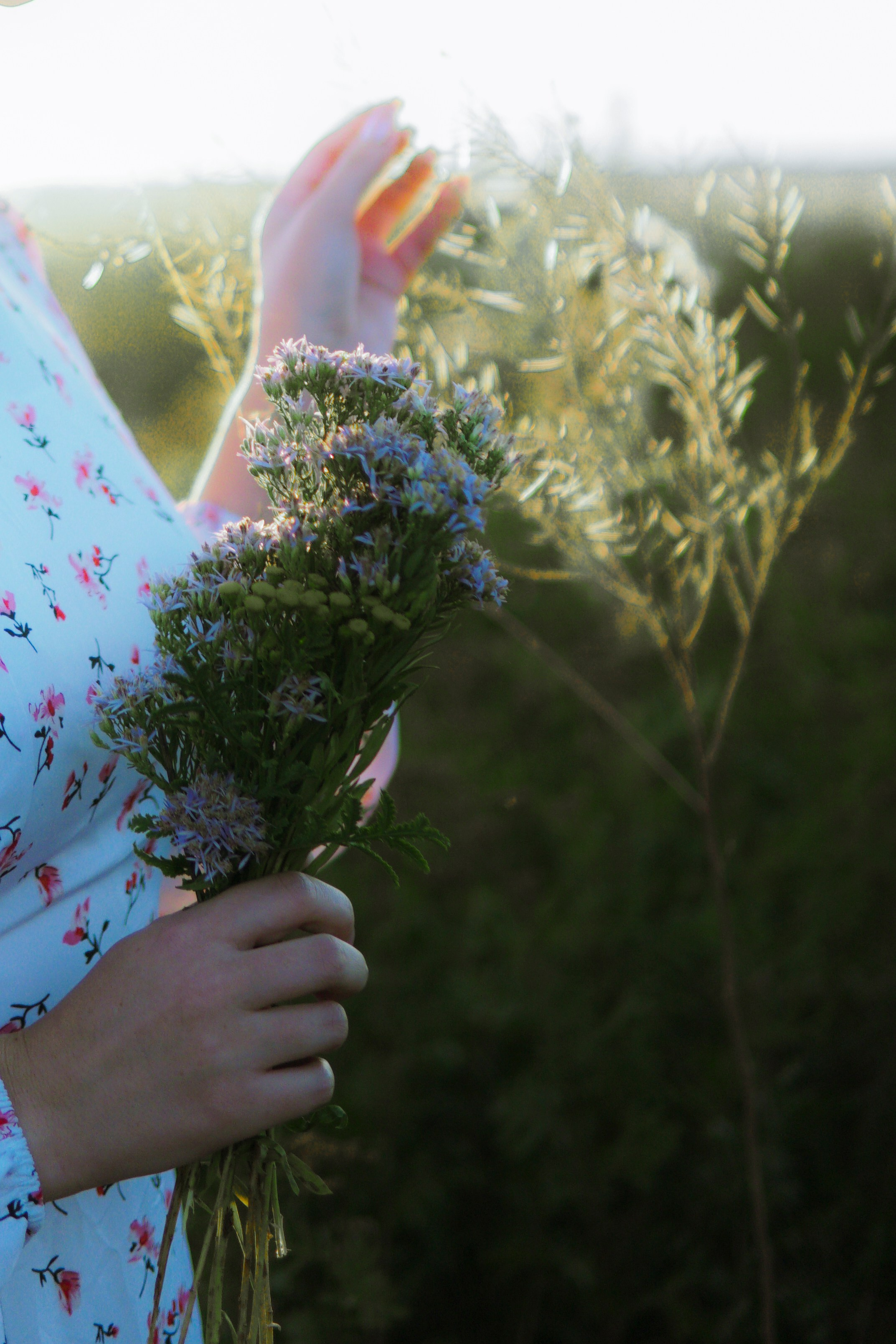 Фотосессия в Ростове-на-Дону на природе. Алёнушка. Фотограф в Ростове-на-Дону Марина Мальцева