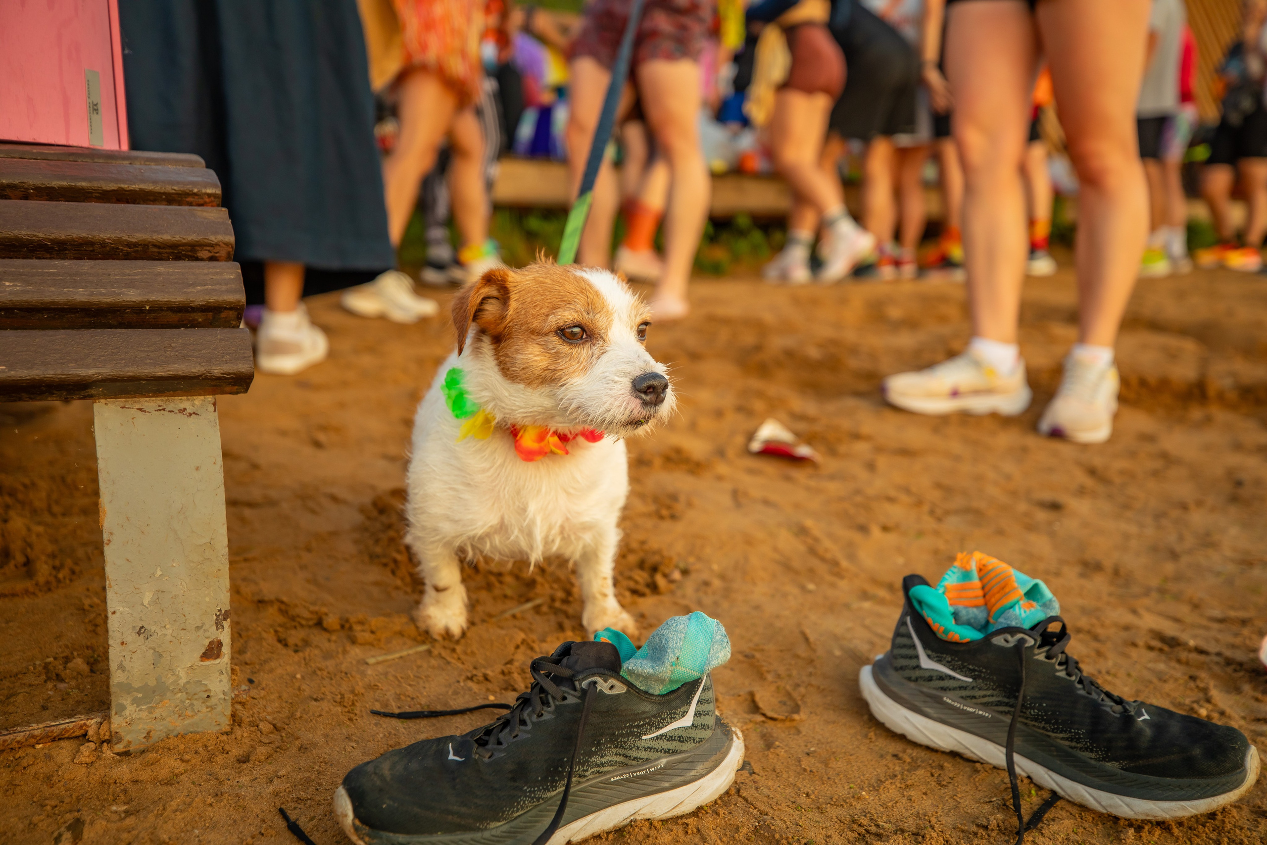 ТУШИНОГИ в последний летний рассвет 31.08.24. Фотограф Сергей Ловкий