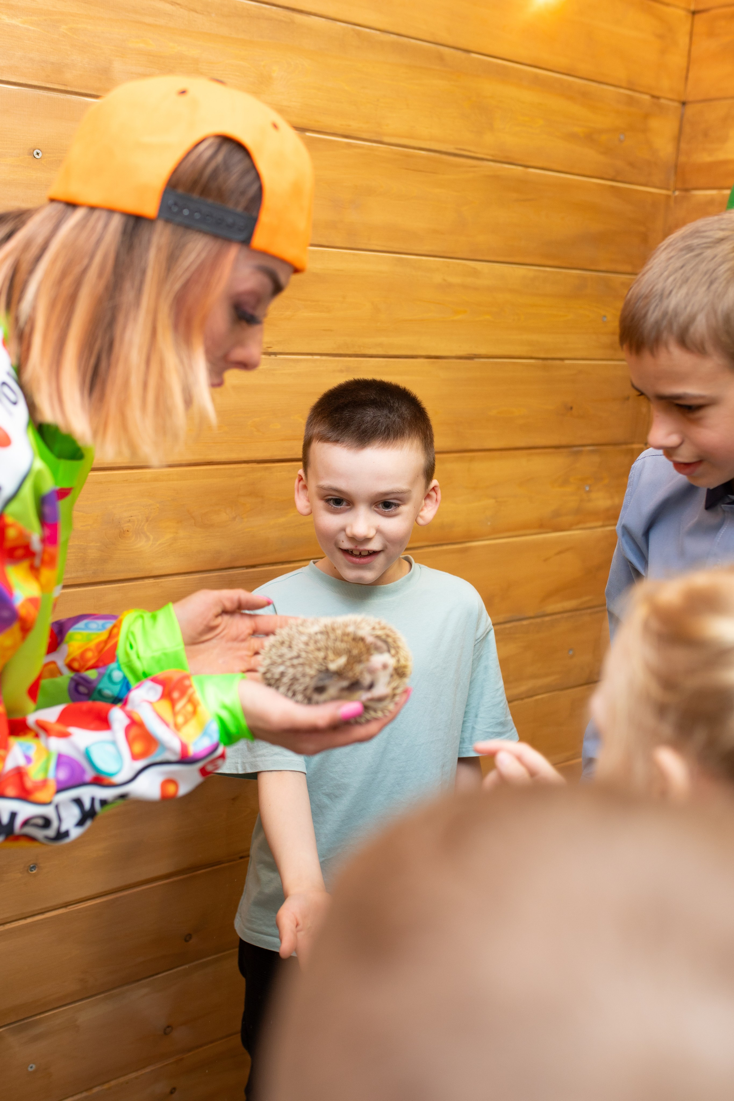 Пингви лофт. Фотограф в Новосибирске Ася Зверева