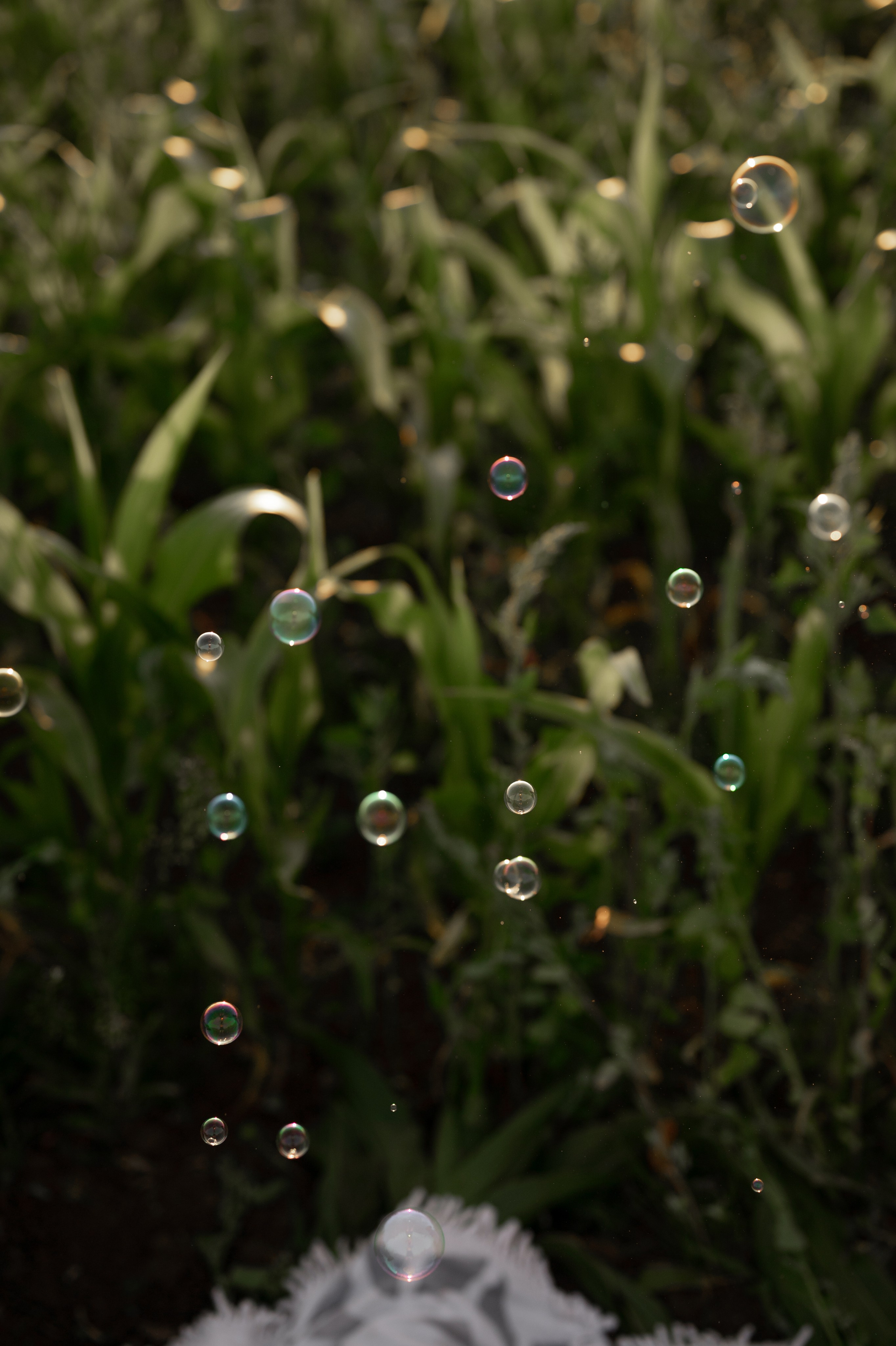 Семейная фотосессия. Свадебный фотограф Йошкар-Ола Казань