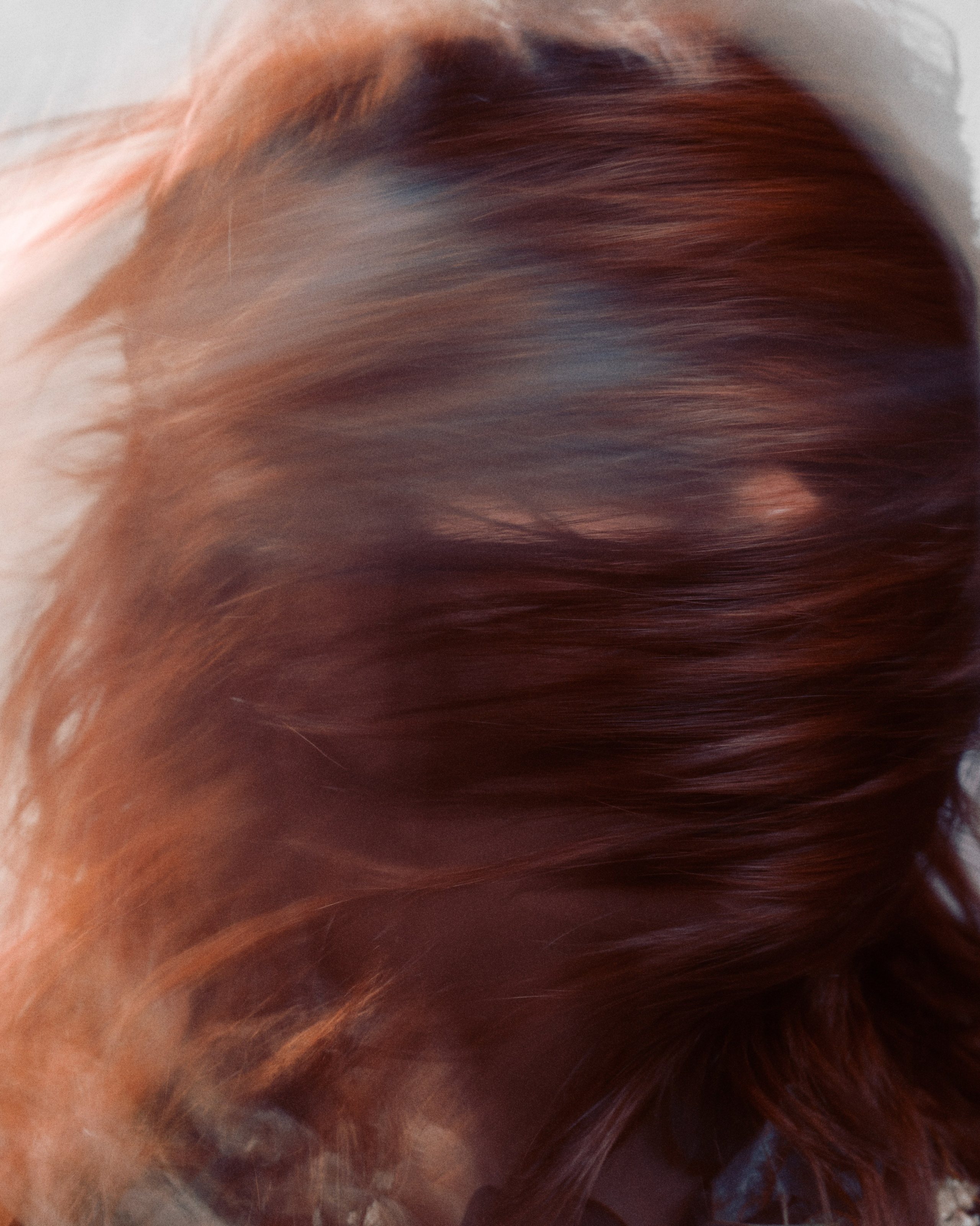 Аделина. Фотограф москва московская область