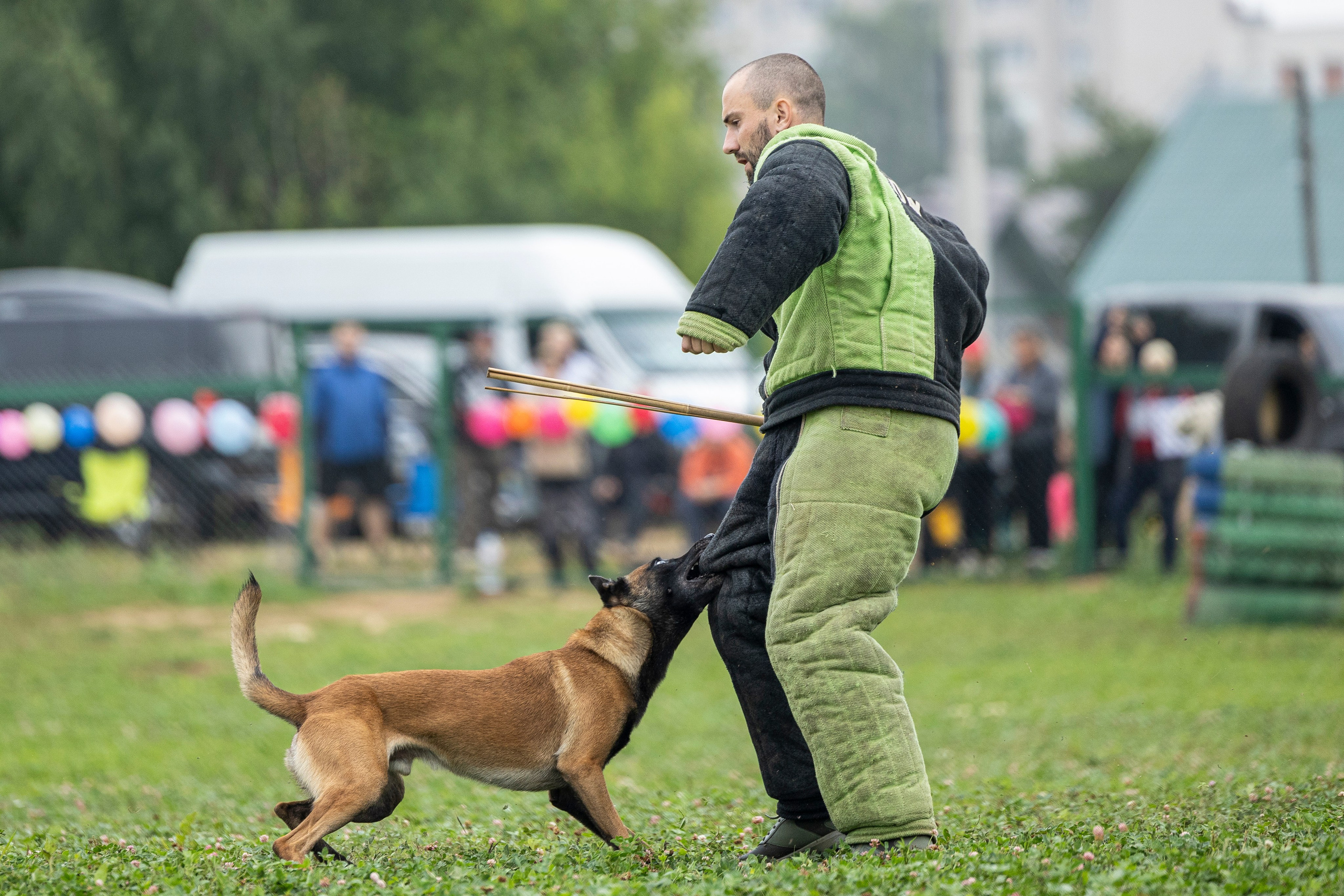 Соревнования по Мондьорингу г. Вологда 10-11.08.2024. Фотограф-анималист Анна Маринич