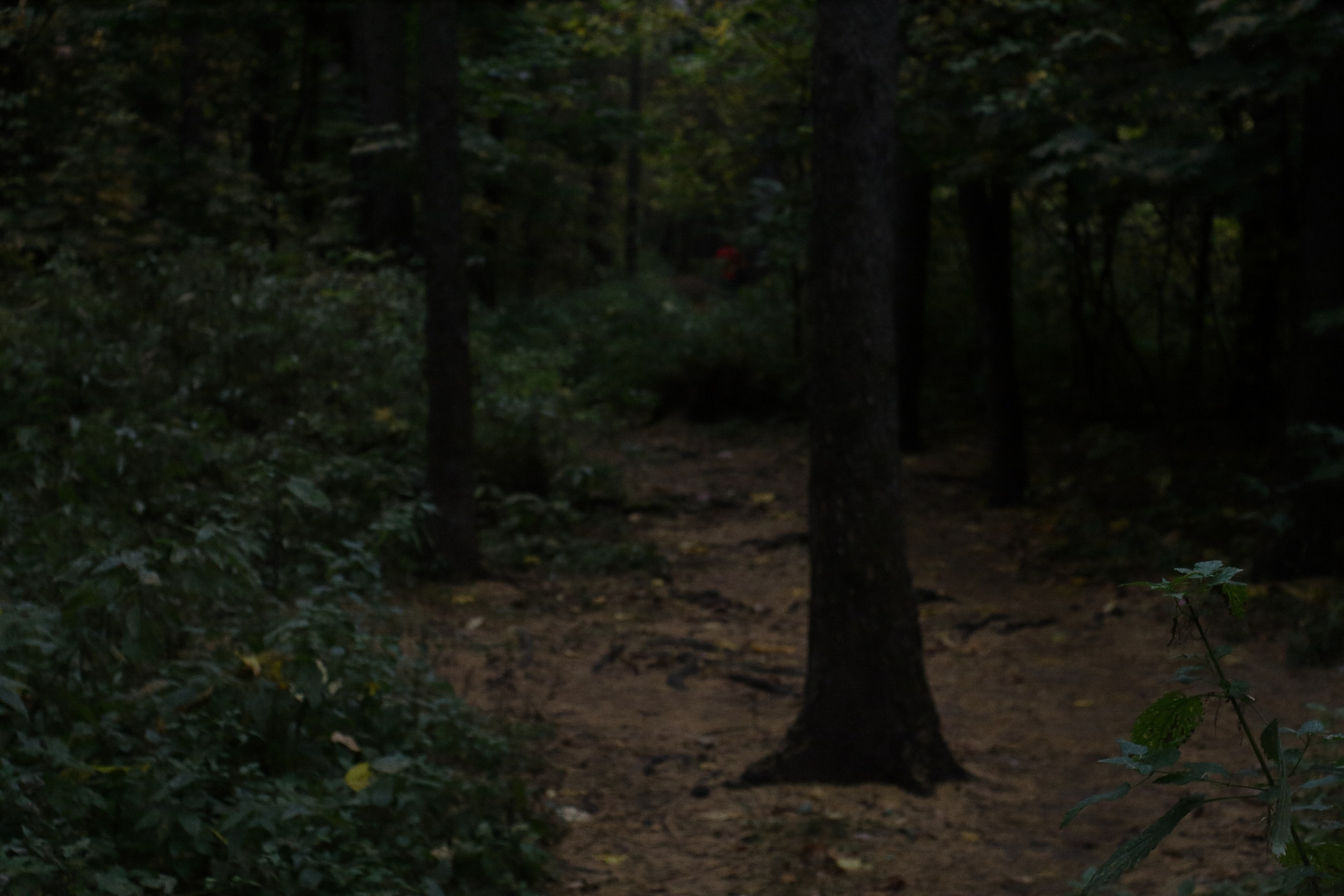 Старое природное, отбирала Katamount (Катерина Горохова). Главная