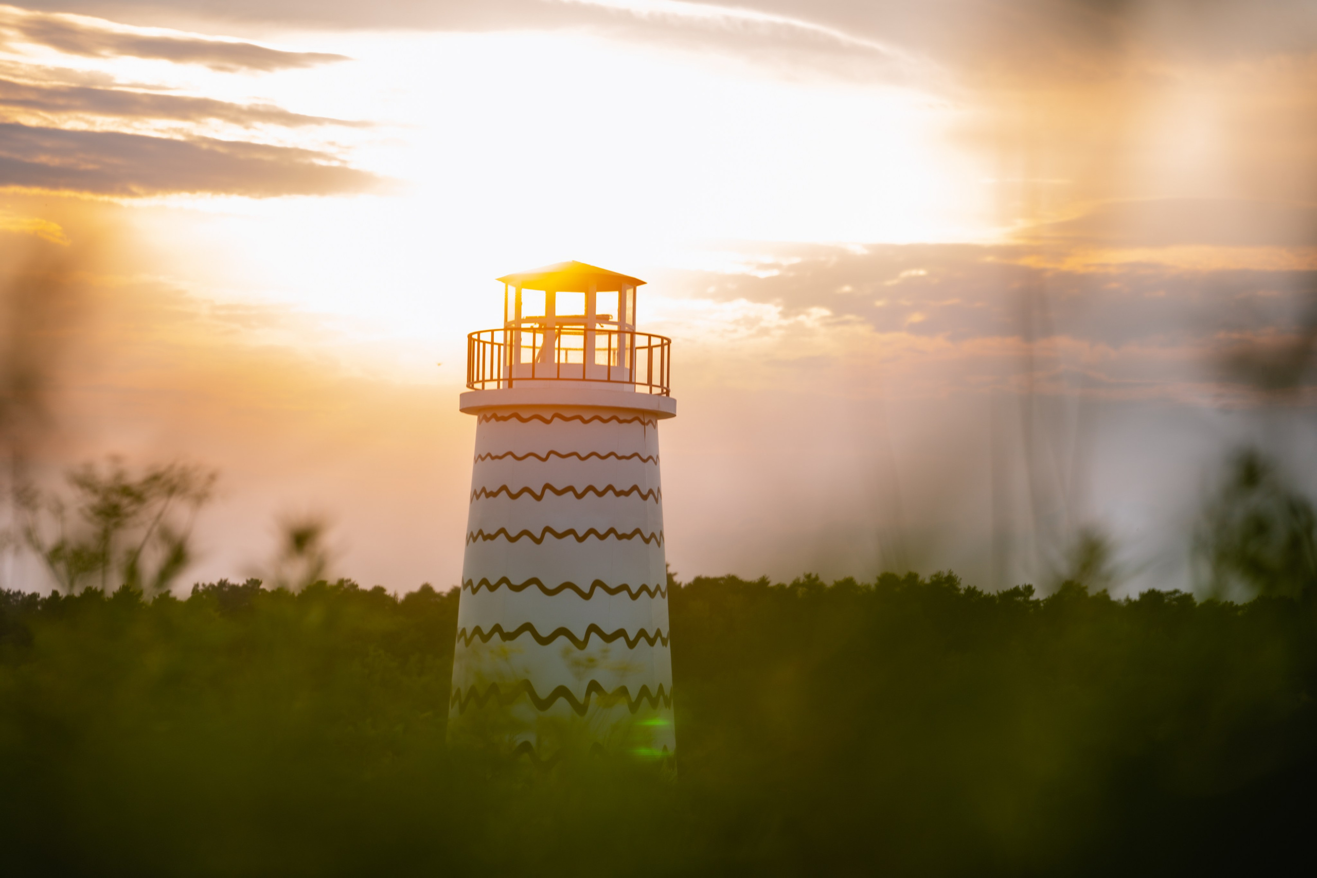 Натура. Владислав Кожух | Фотограф | Видеограф | Режиссёр