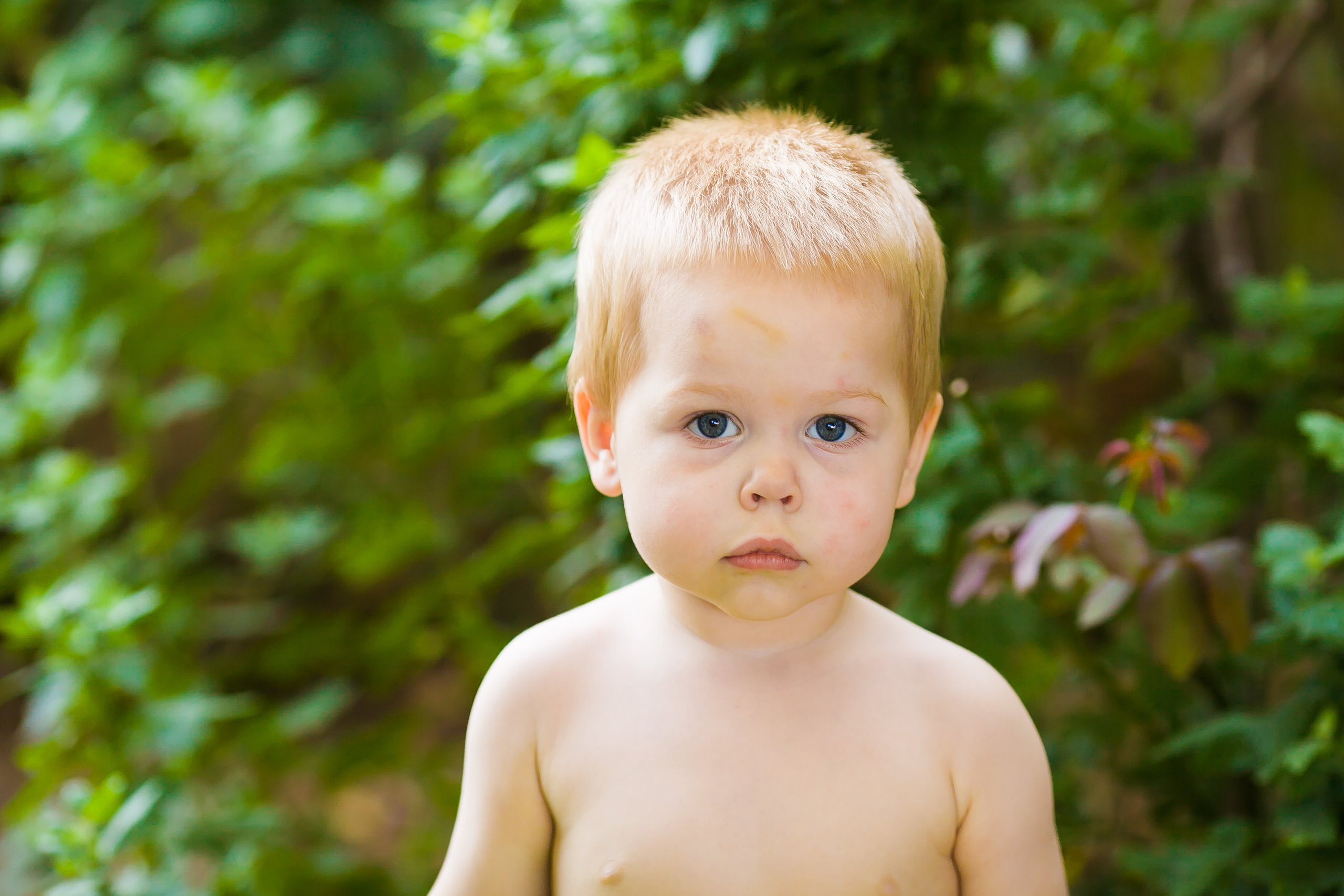 Паше 2 года. Дизайн интерьера Керчь, дизайнер интерьера Еремина Мария Керчь, Симфер