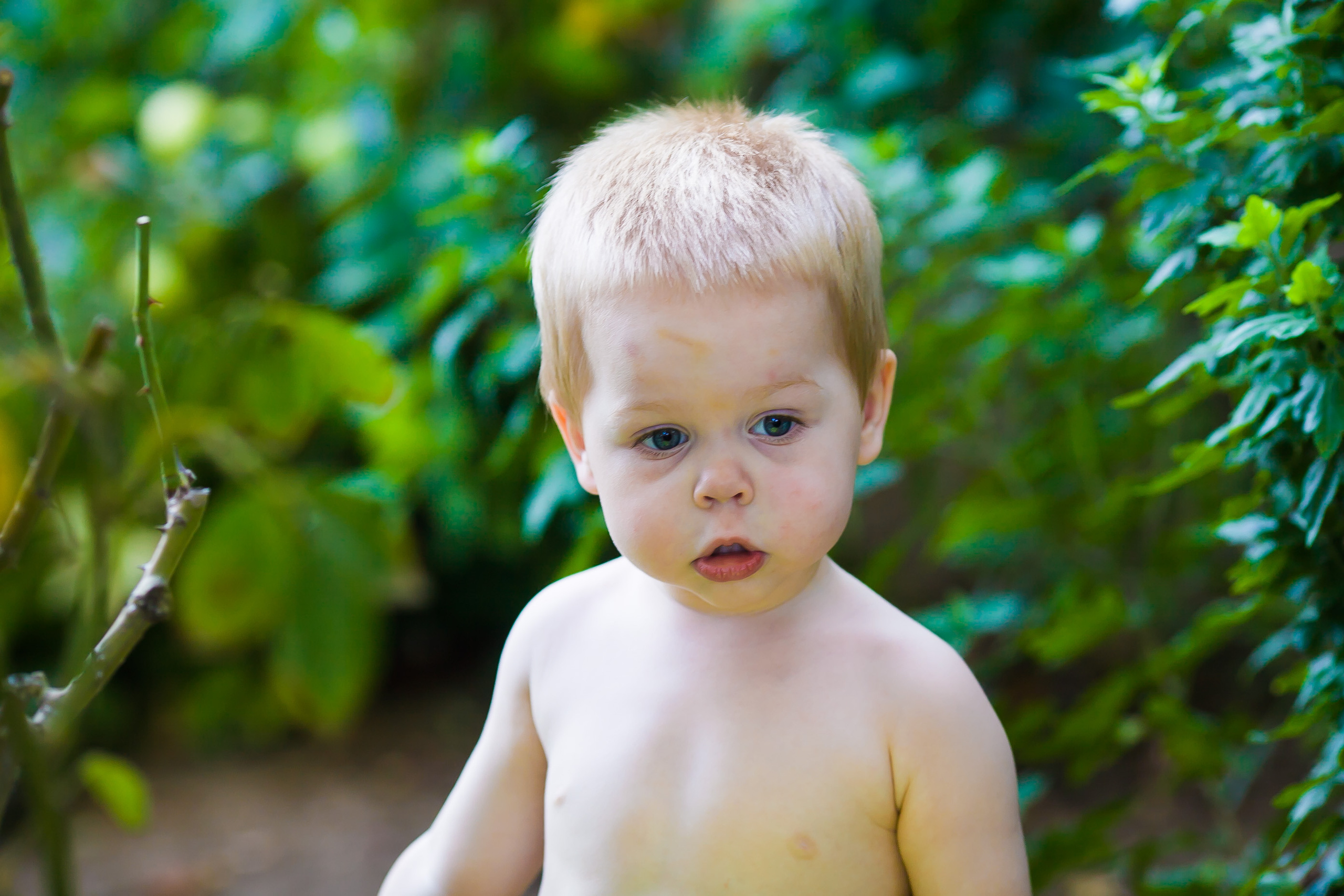 Паше 2 года. Дизайн интерьера Керчь, дизайнер интерьера Еремина Мария Керчь, Симфер