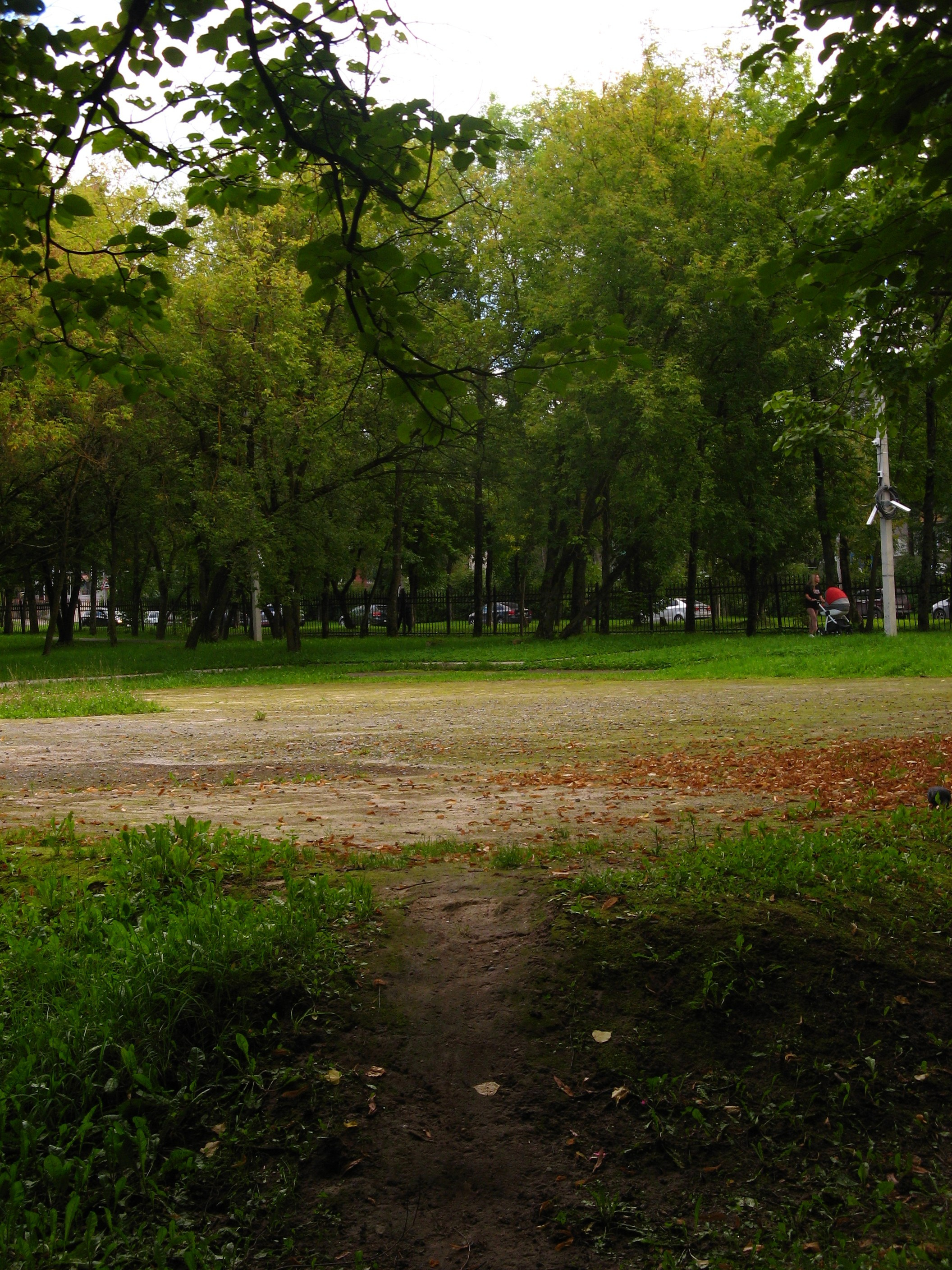 Сентябрь 2025. Den Mirov — Фотограф, Музыкант