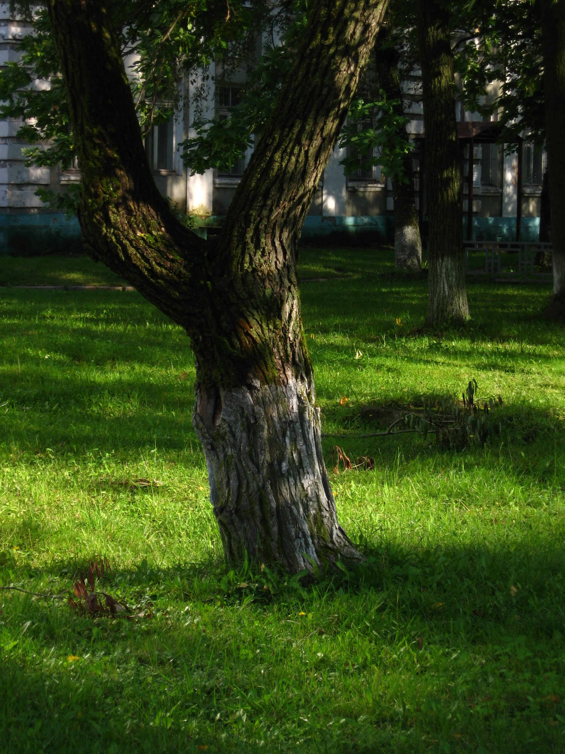 Август 2025. Den Mirov — Фотограф, Музыкант