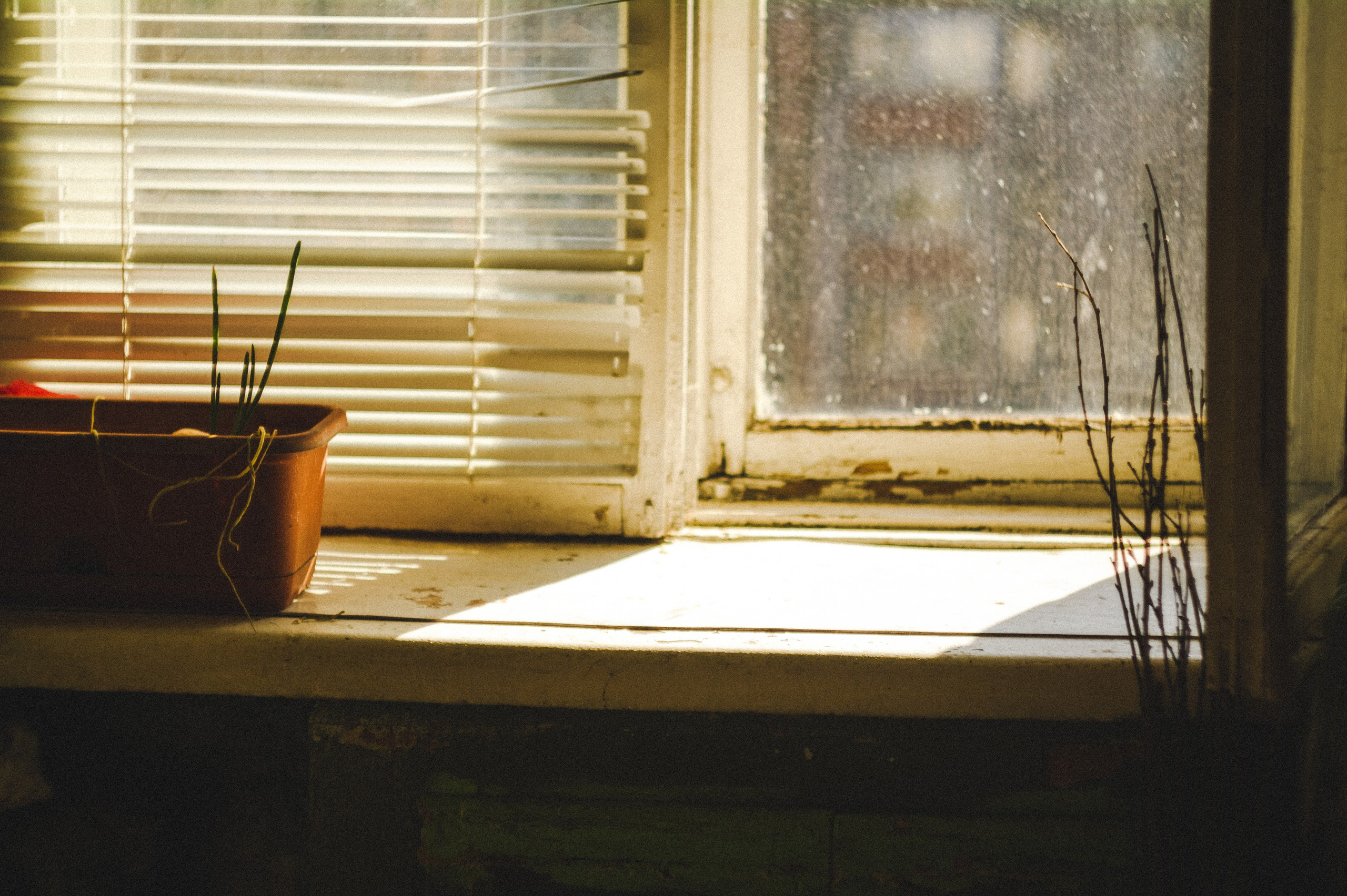 Favorite place. Den Mirov — Photographer, Musician