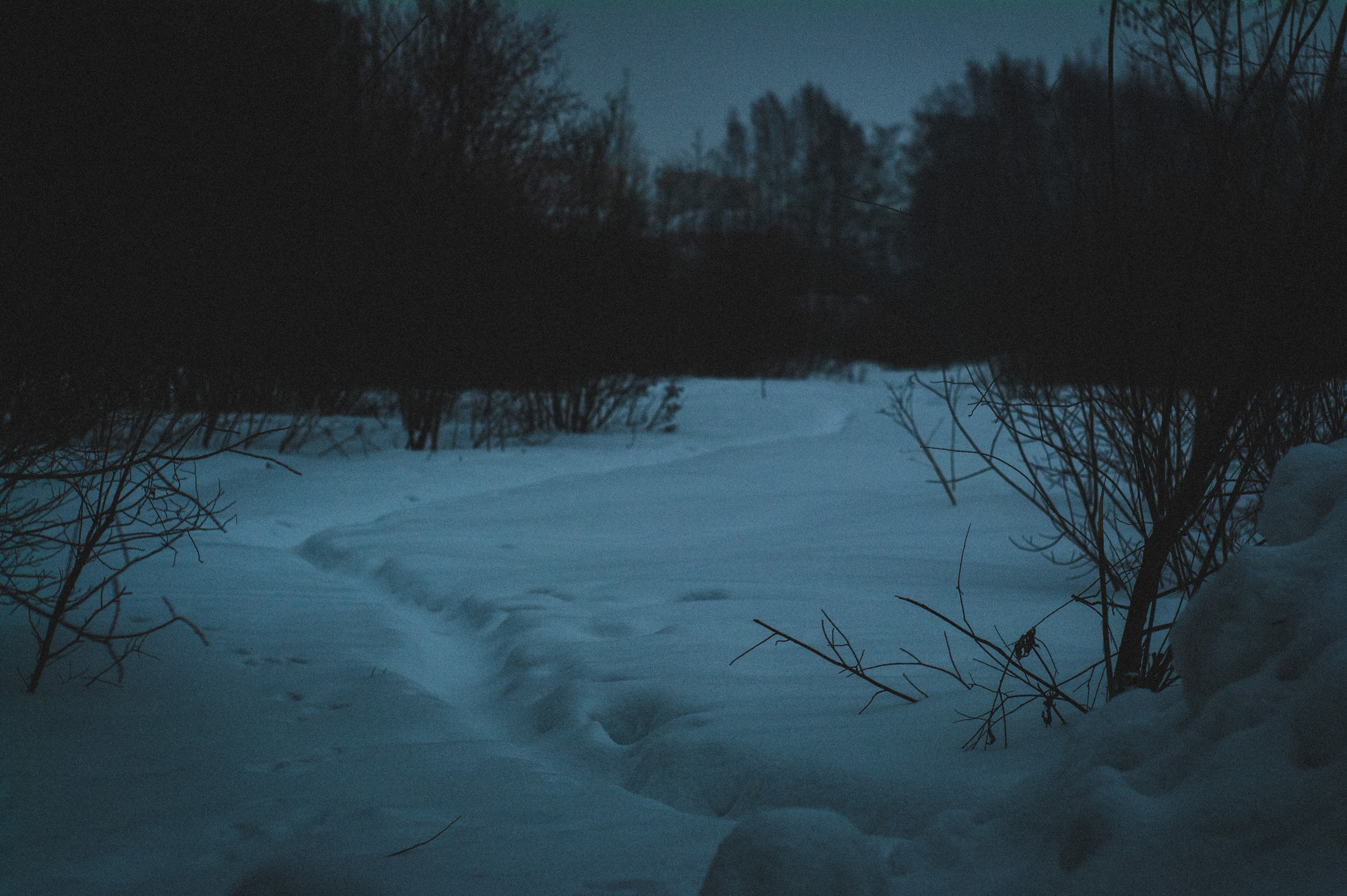 45 minutes. Den Mirov — Photographer, Musician