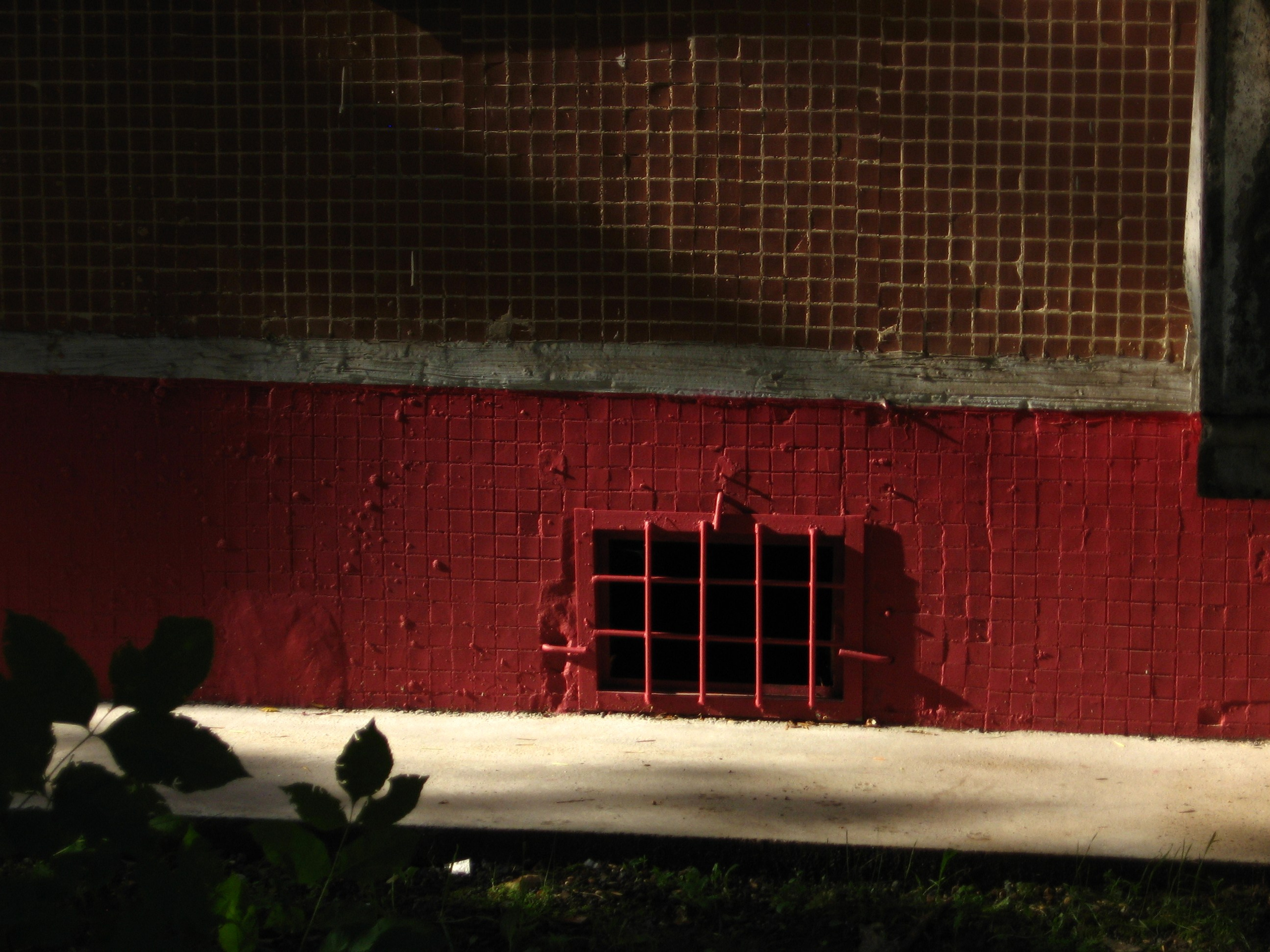 Август 2025. Den Mirov — Фотограф, Музыкант