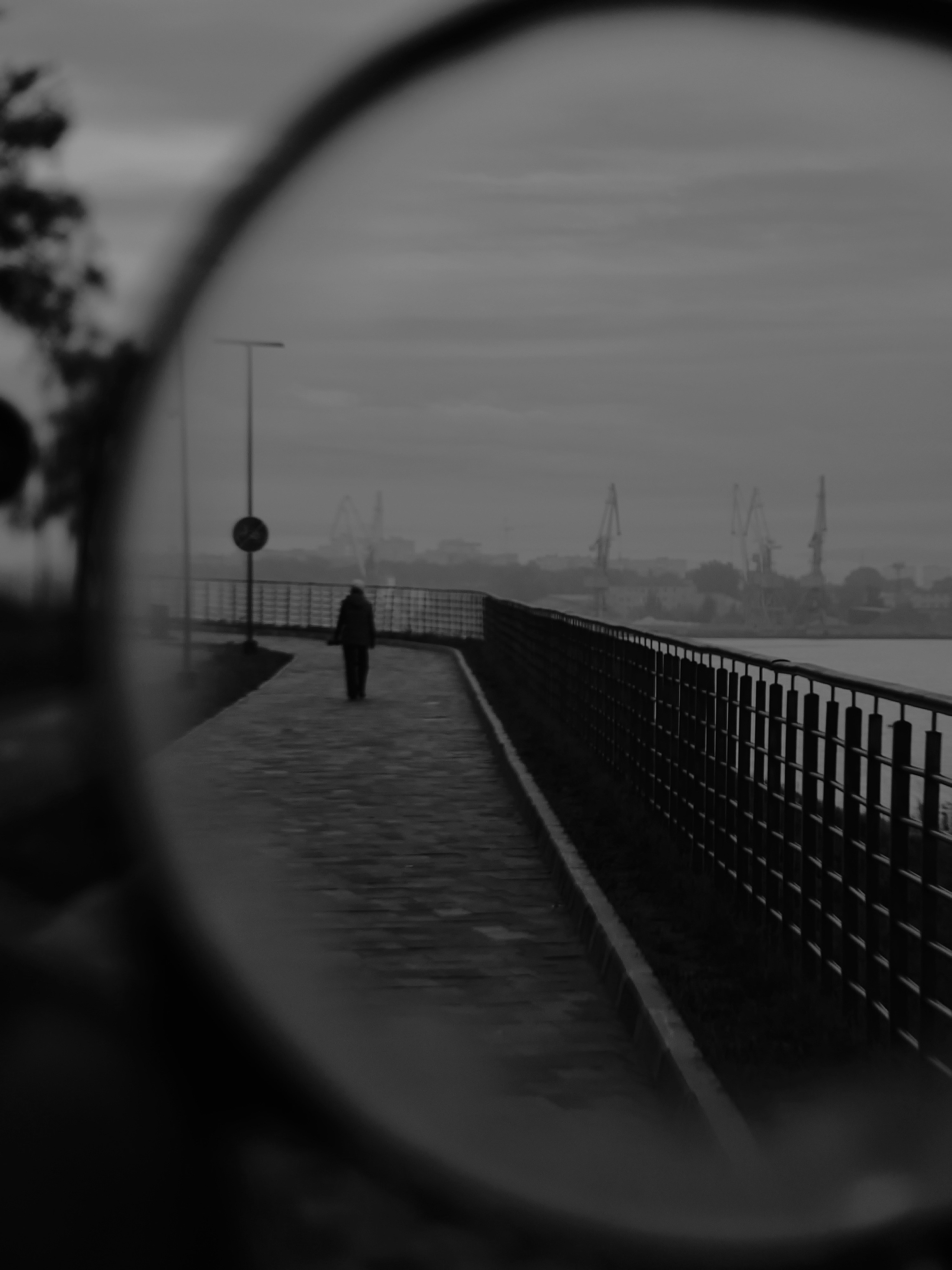 Август 2025. Den Mirov — Фотограф, Музыкант