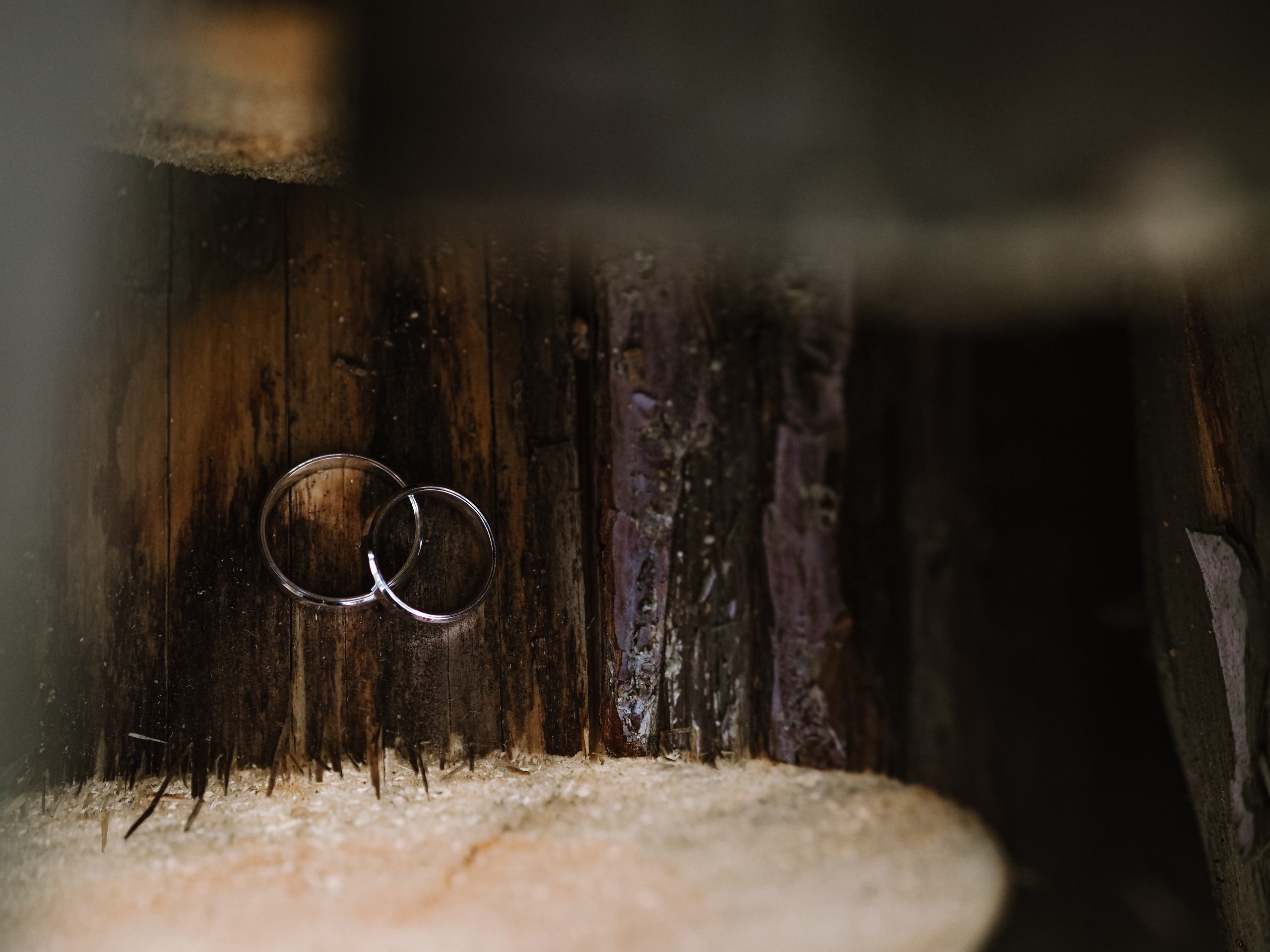 Даша и Максим. Фотограф Рязань. Семейный Свадебный фотограф