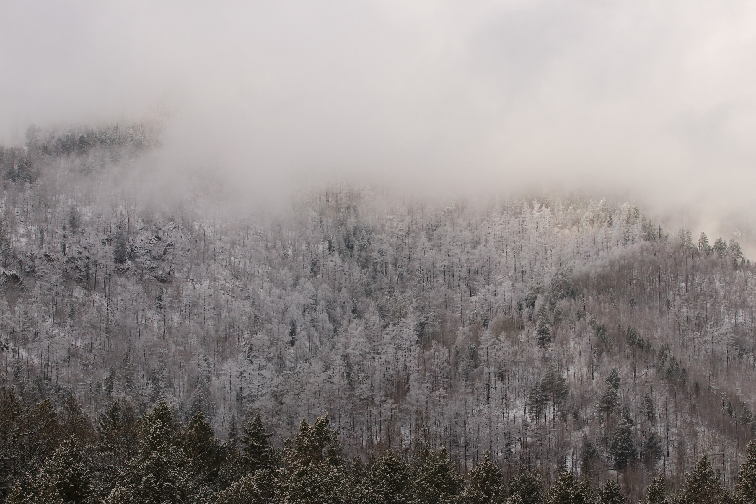 Аршан. Март 2023. Путешественник-фотограф из Санкт-Петербурга Татьяна Свистулина