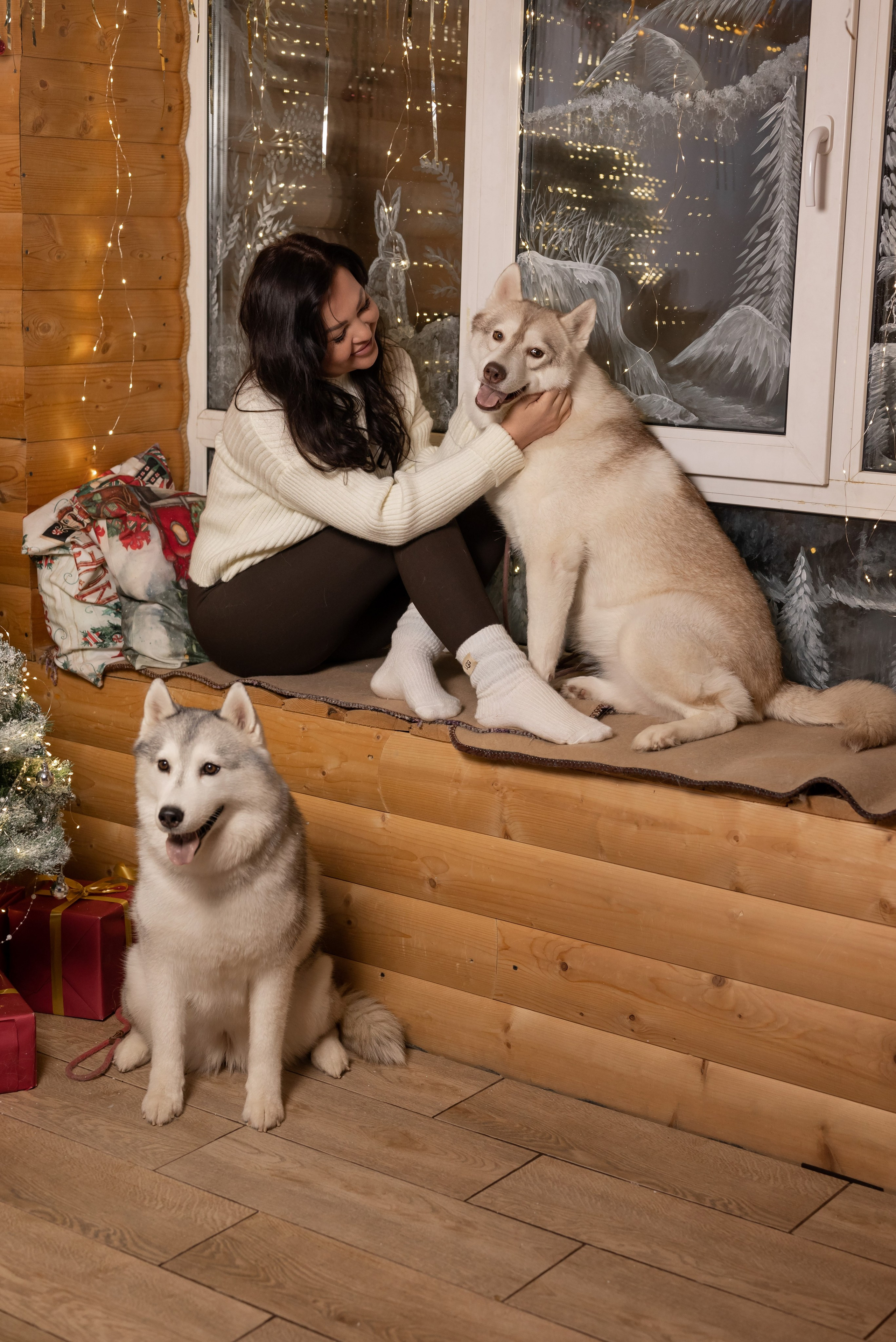 Фотопроект с хаски в частном доме. Фотограф в городе Салават