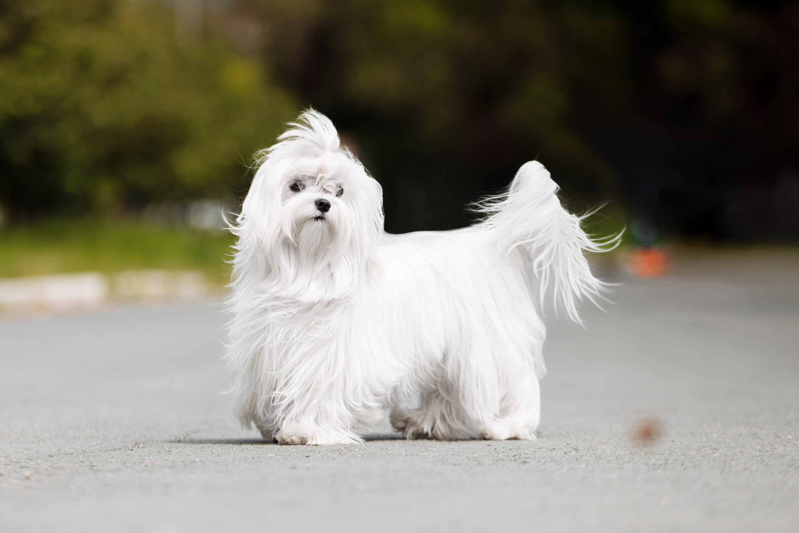 Такой разношерстный Орск 25. О нас