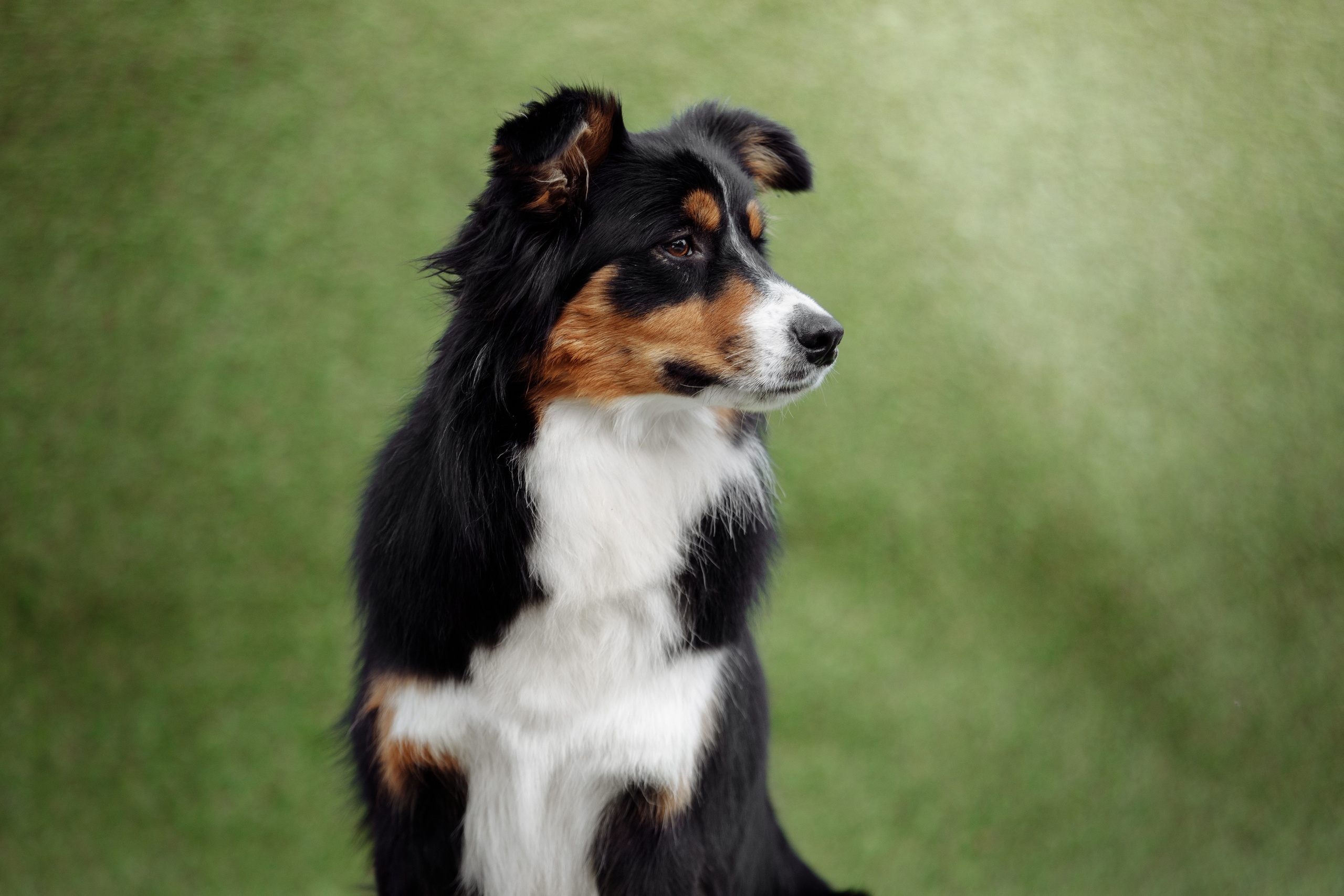 Свое место. О нас