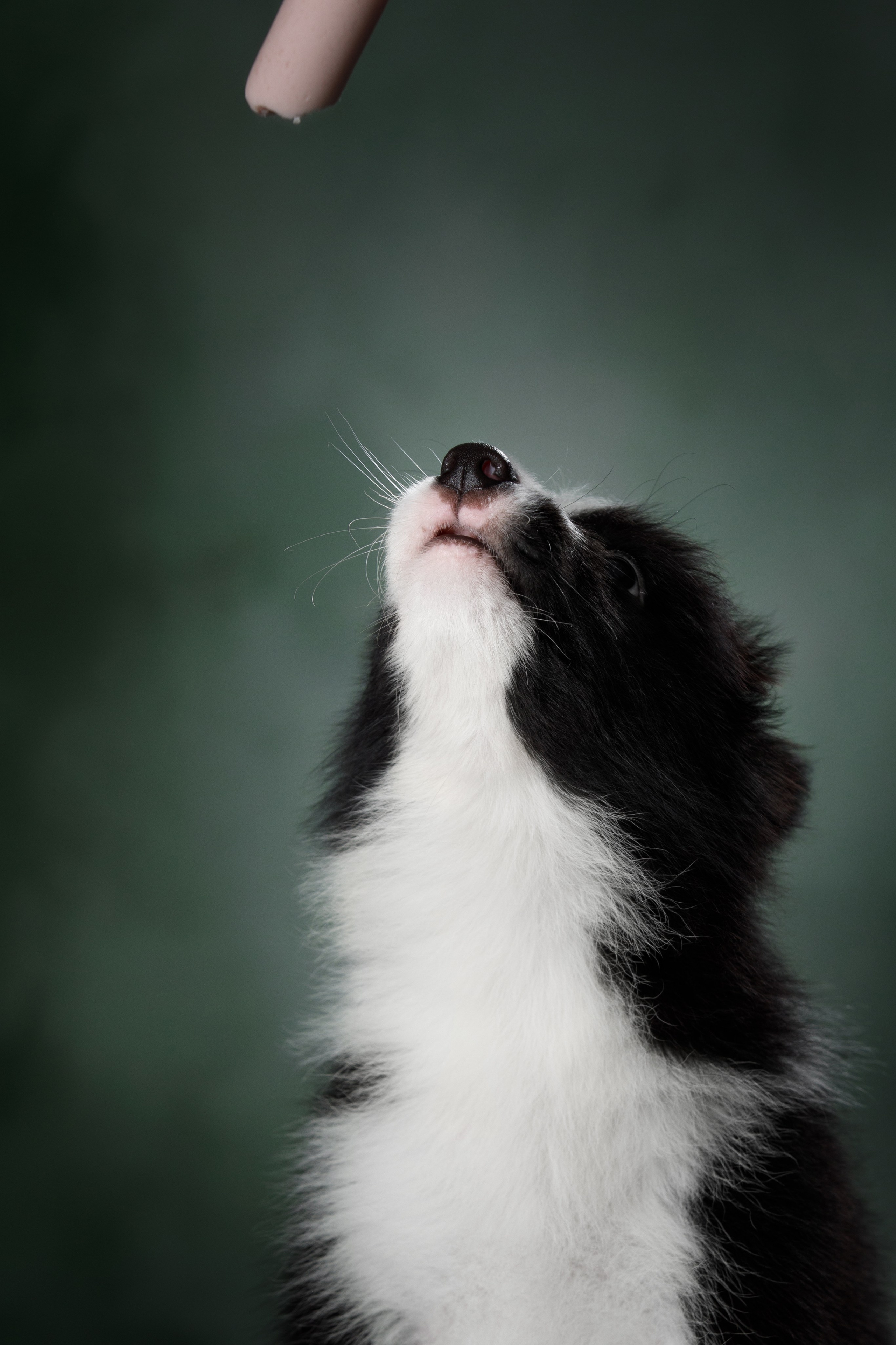 Март. Весна. 22. О нас