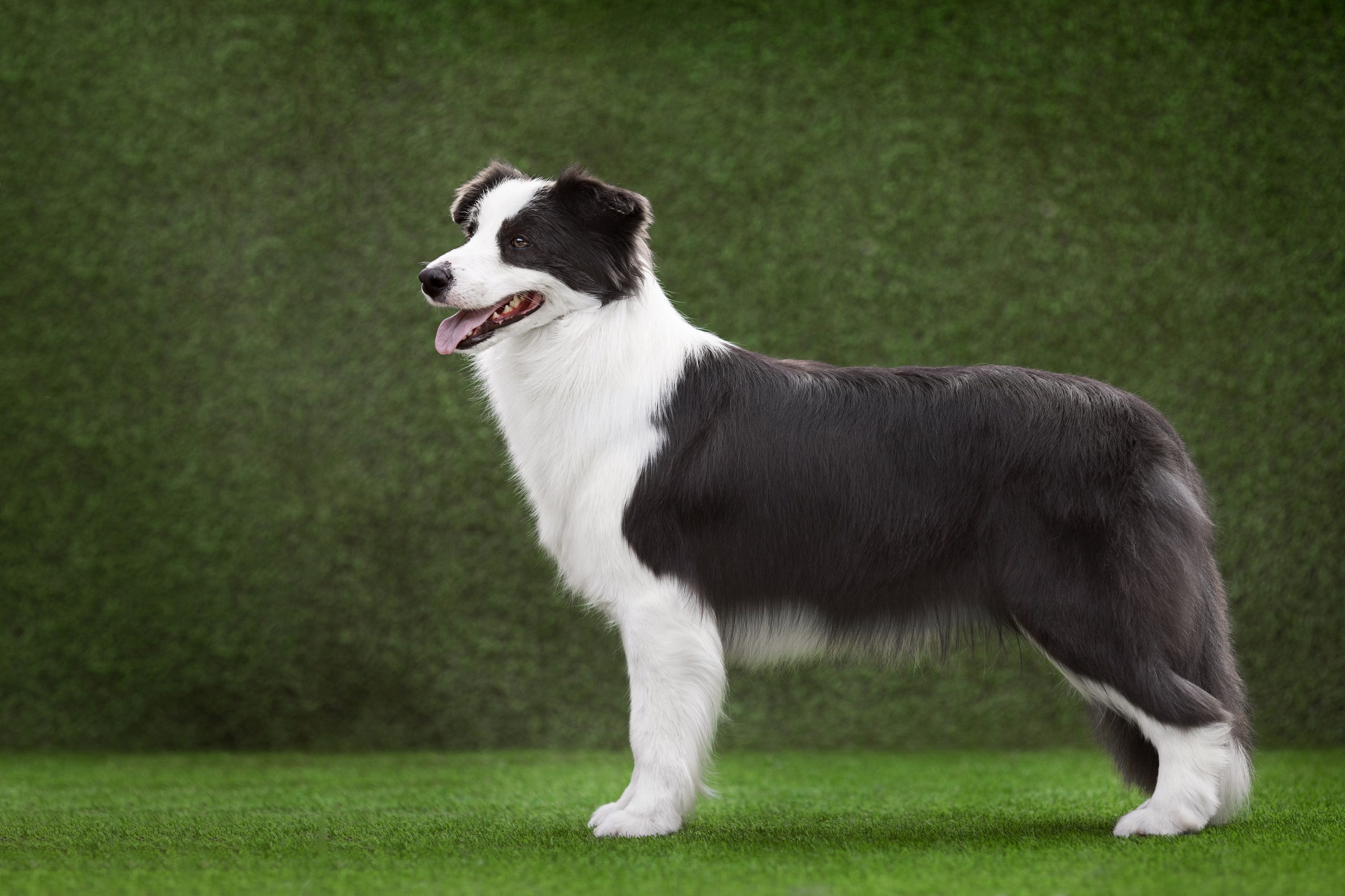 Роскошь в ростошах. О нас