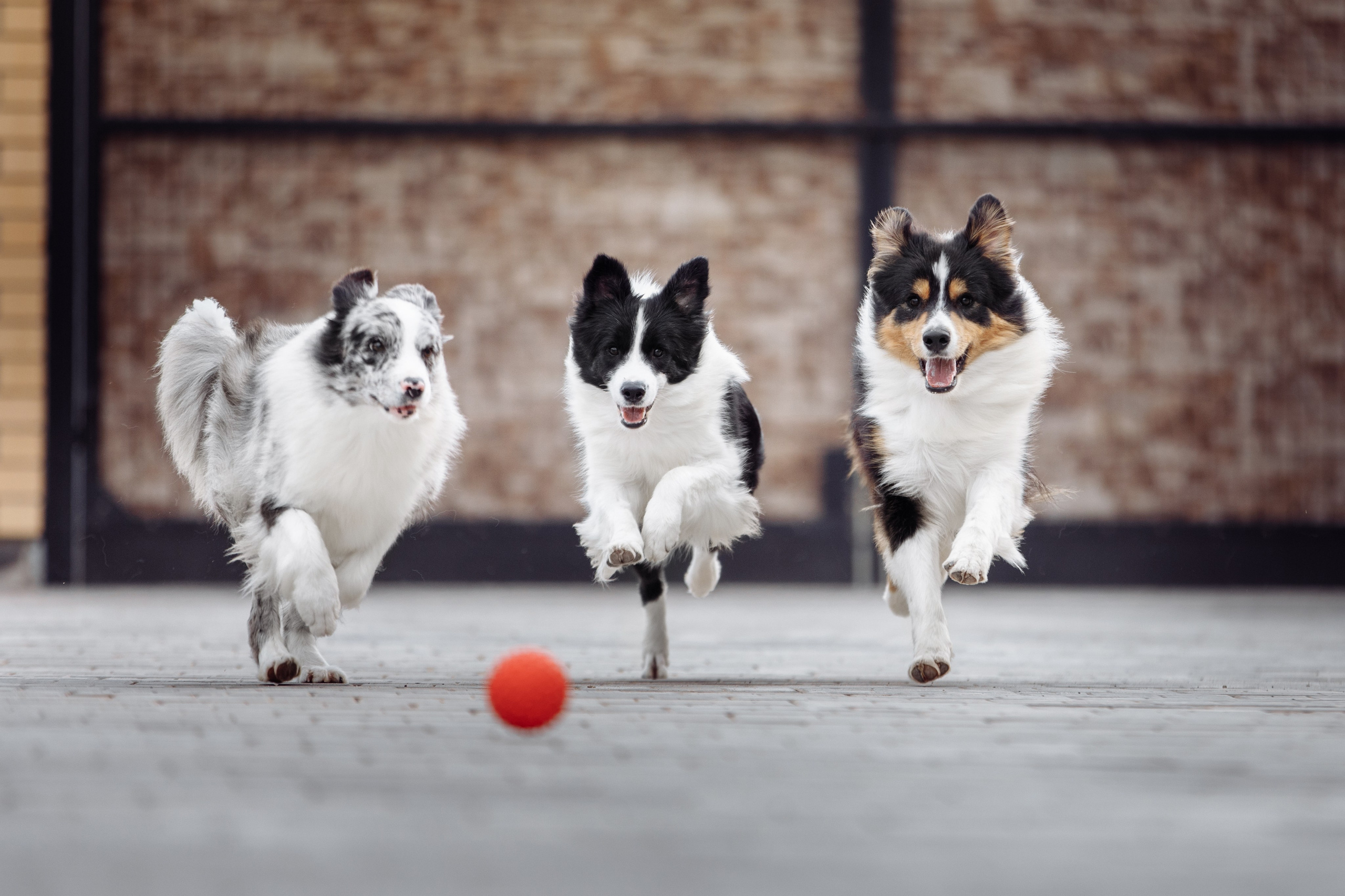 Свое место. О нас