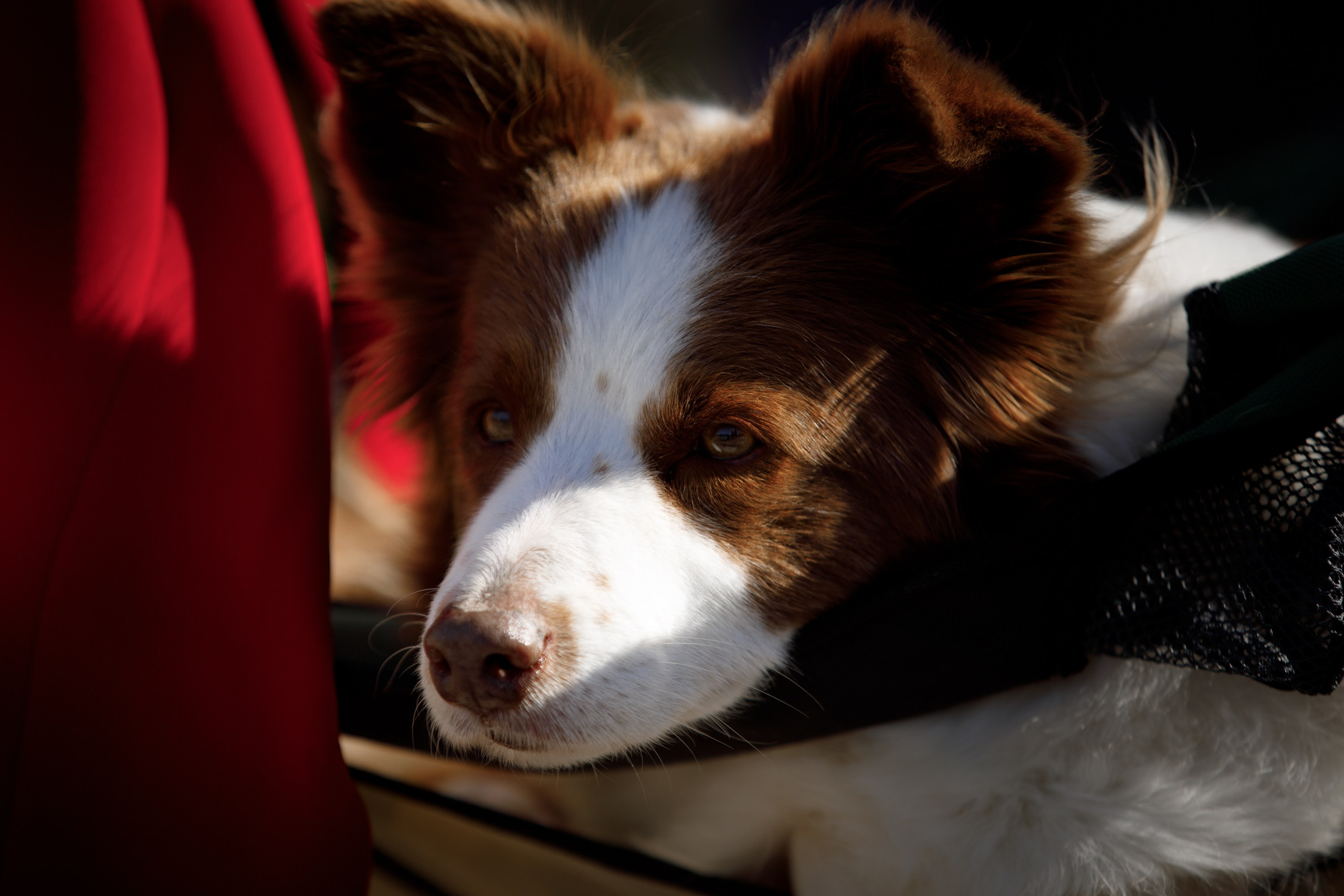 Водяные в Новотроицке. О нас