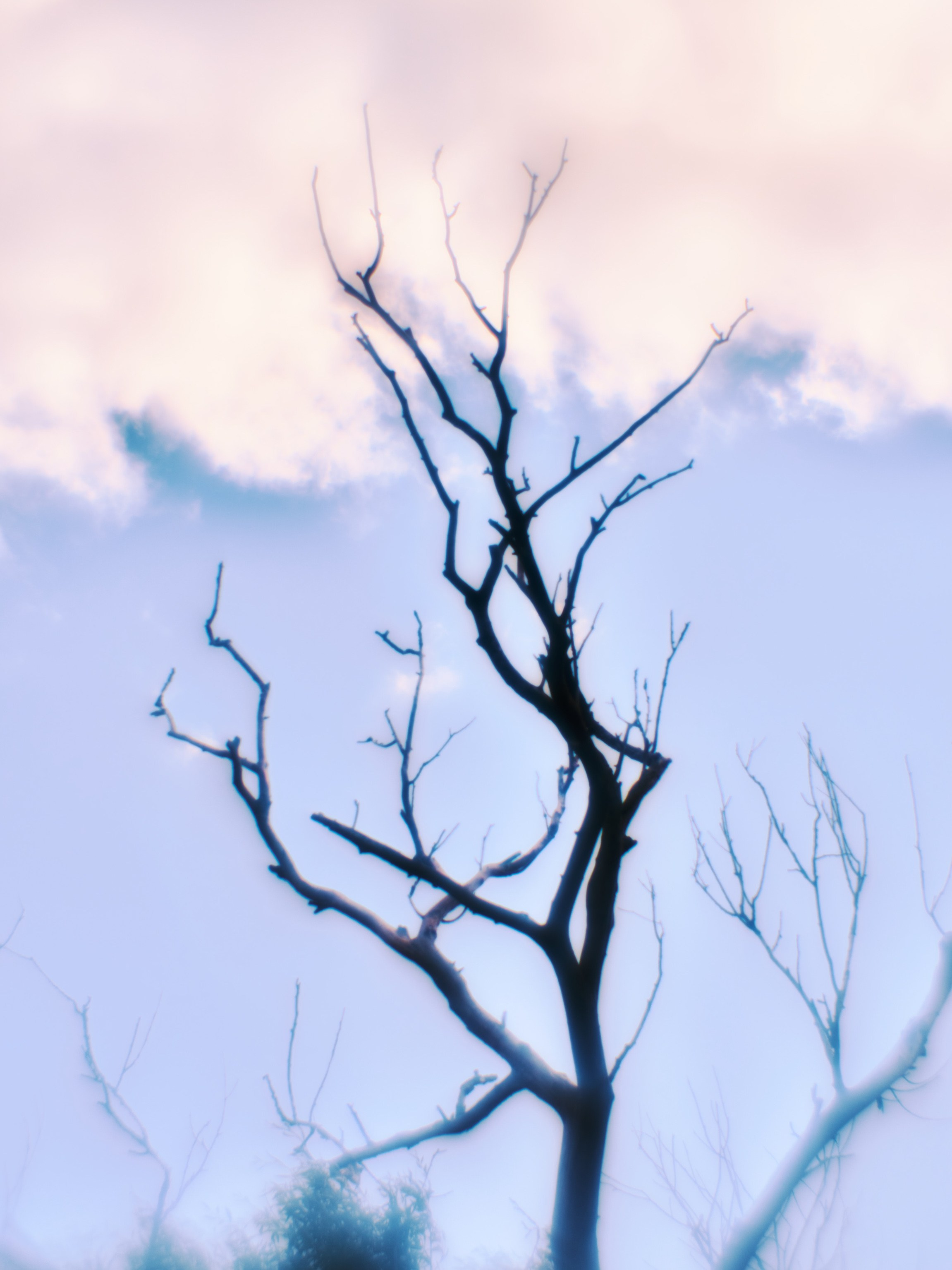 Фотограф Юлия Глазкова