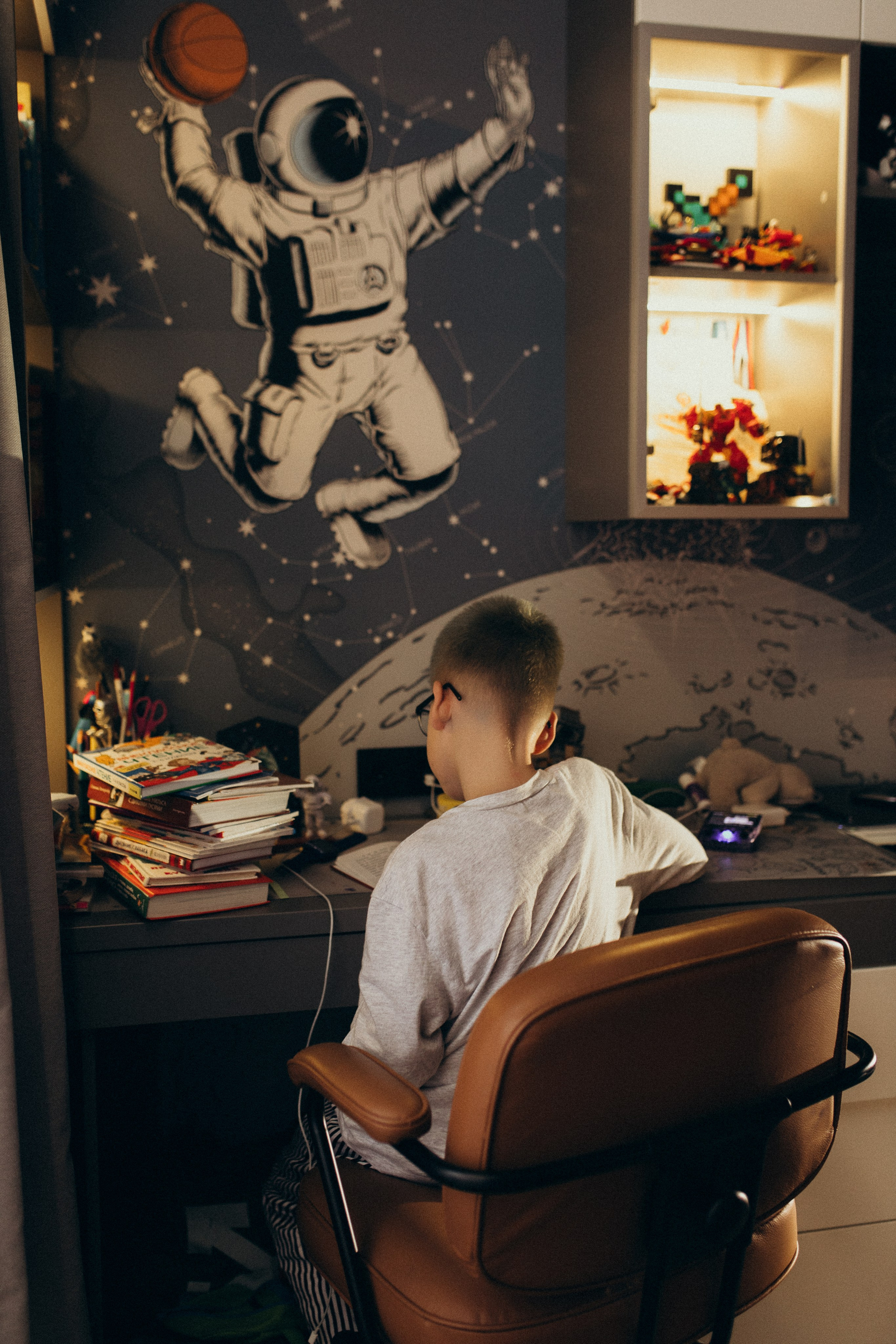 Домашняя история. Meryfotoidea