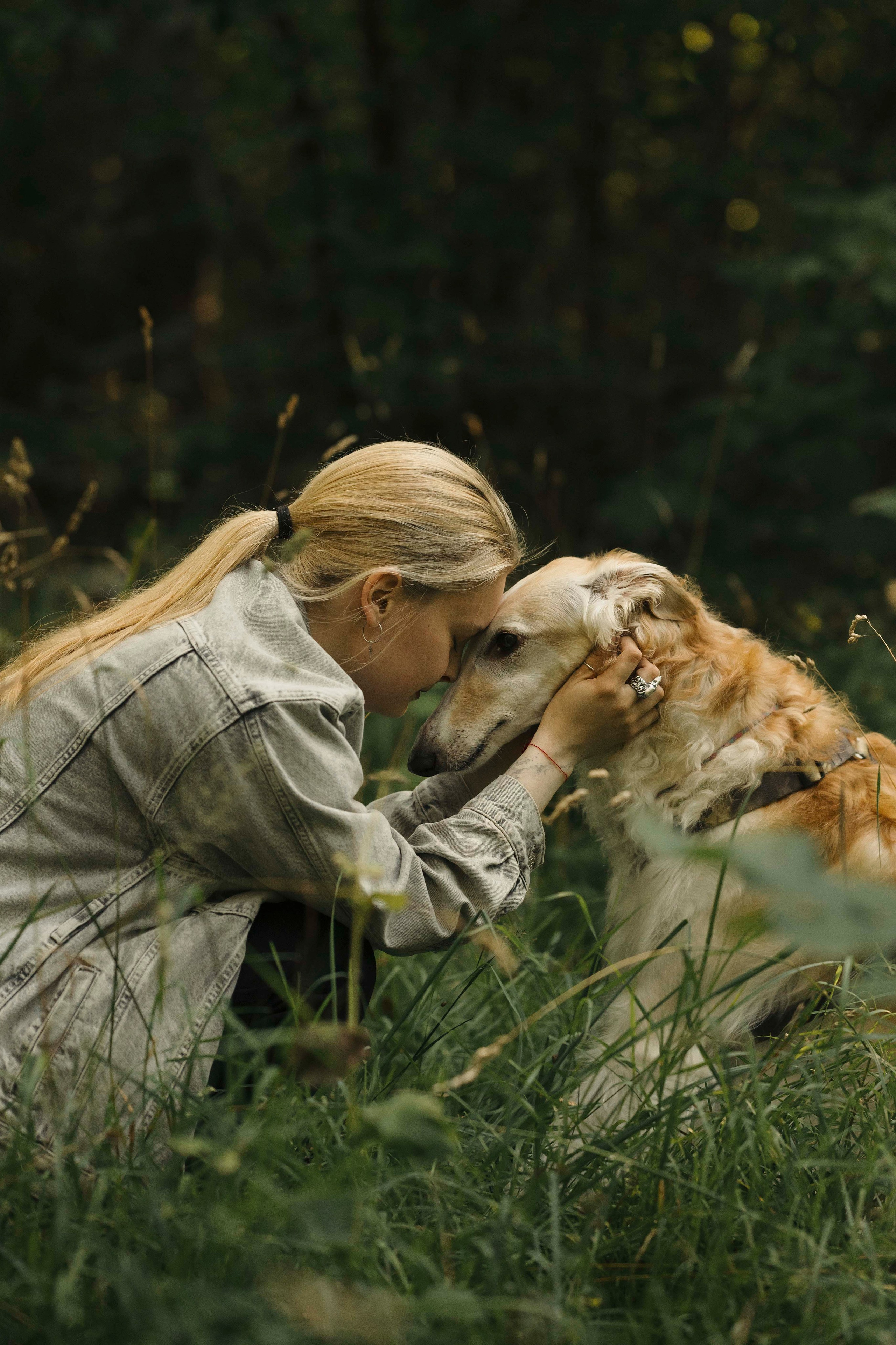 Тайга. Фотограф- анималист Александра Матвеева