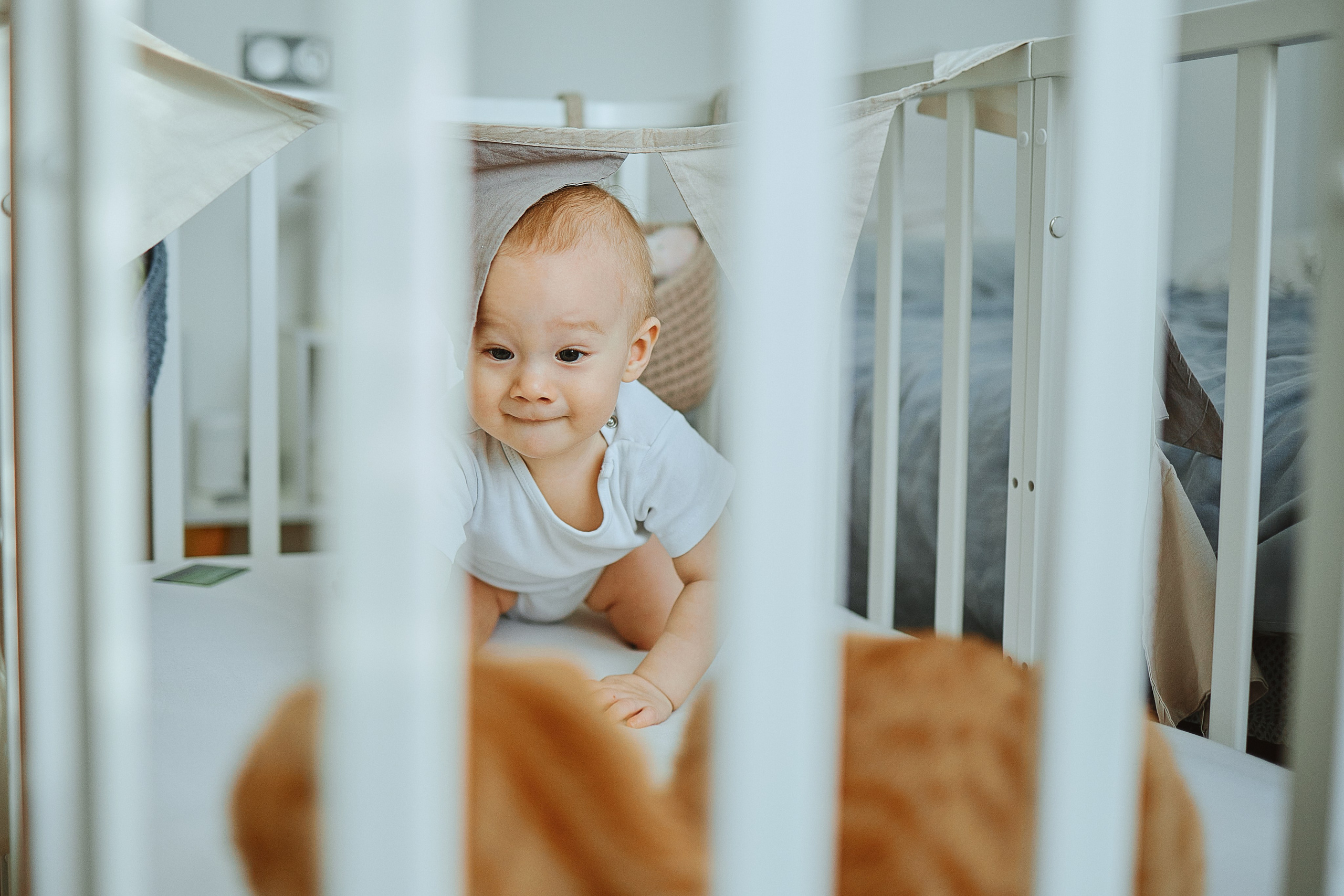 Дома весело. Фотограф Жанна Лефлер