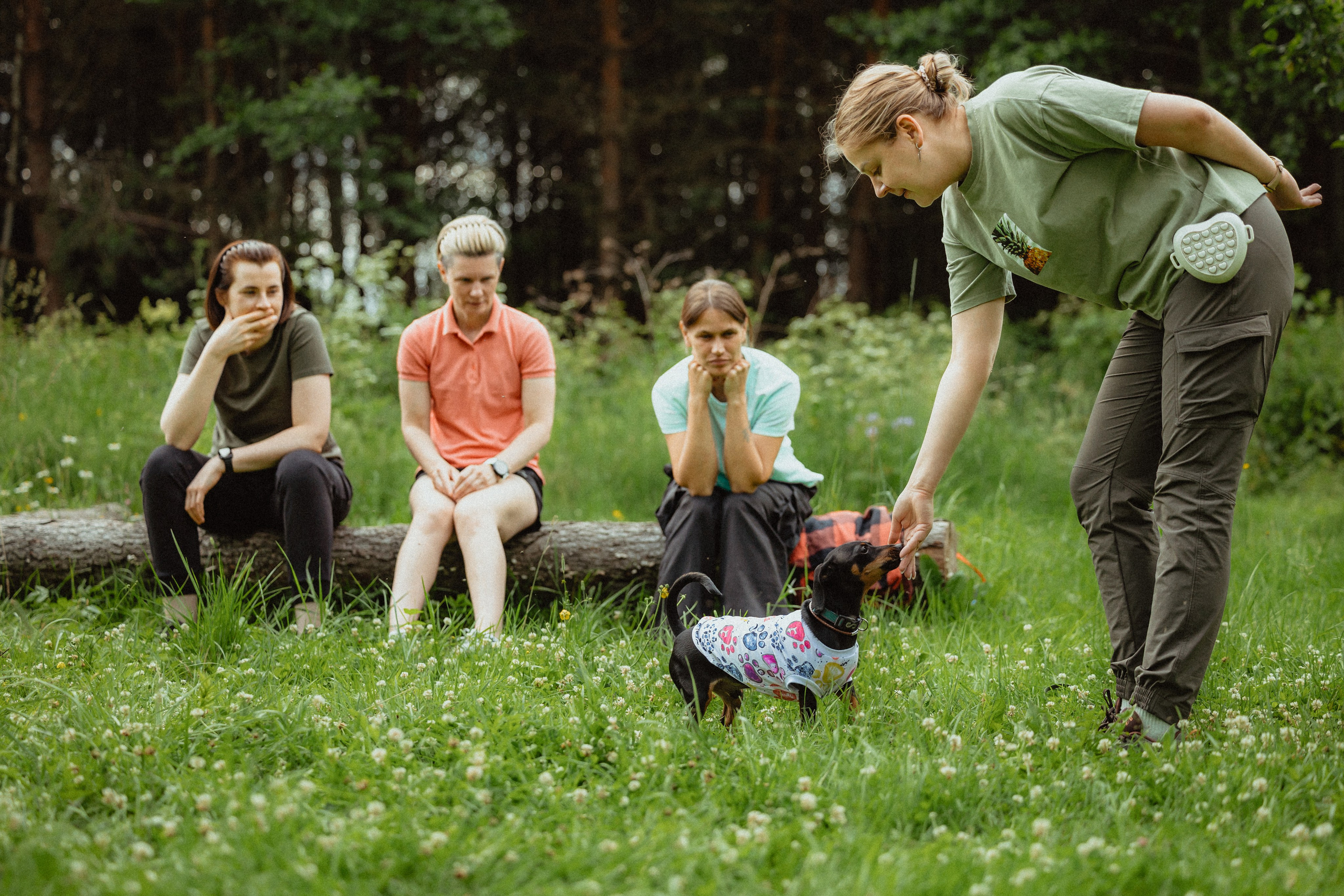Выездной дог-тренинг от школы «Шерсть имею»