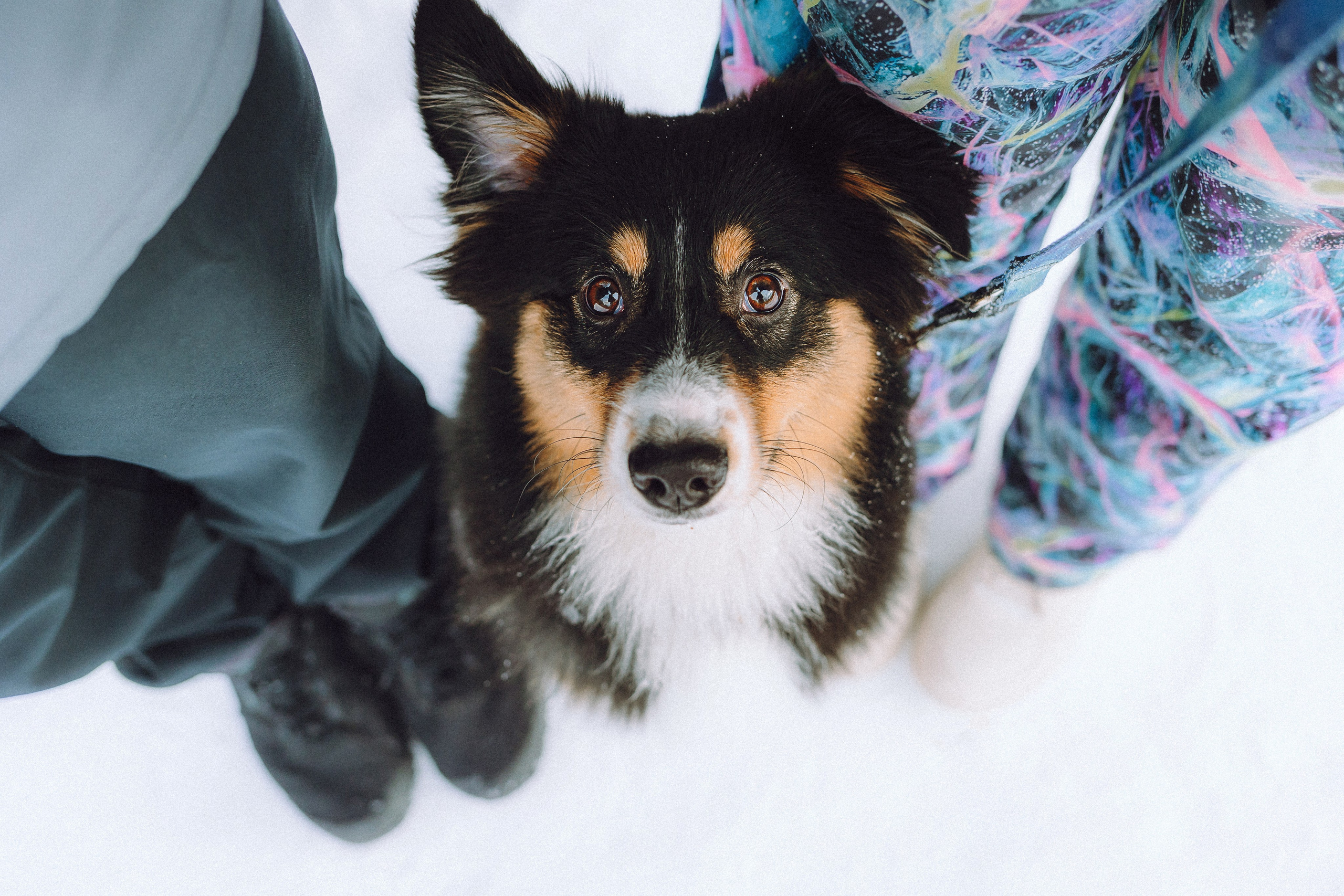 Таня, Ваня и Гром